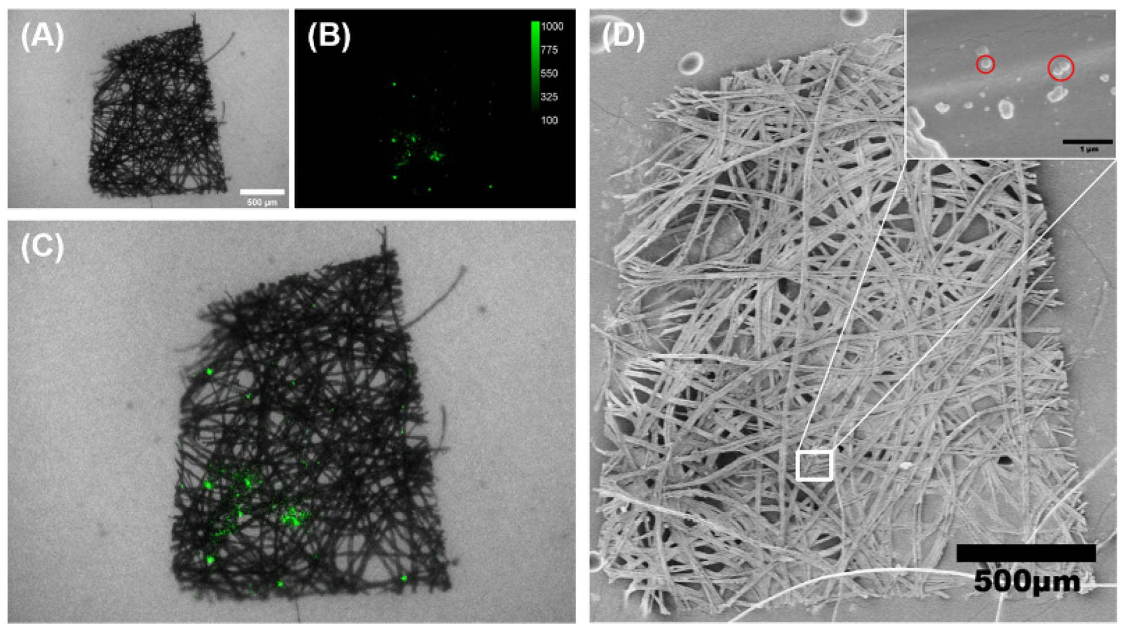 Sustainability 15 07090 g006