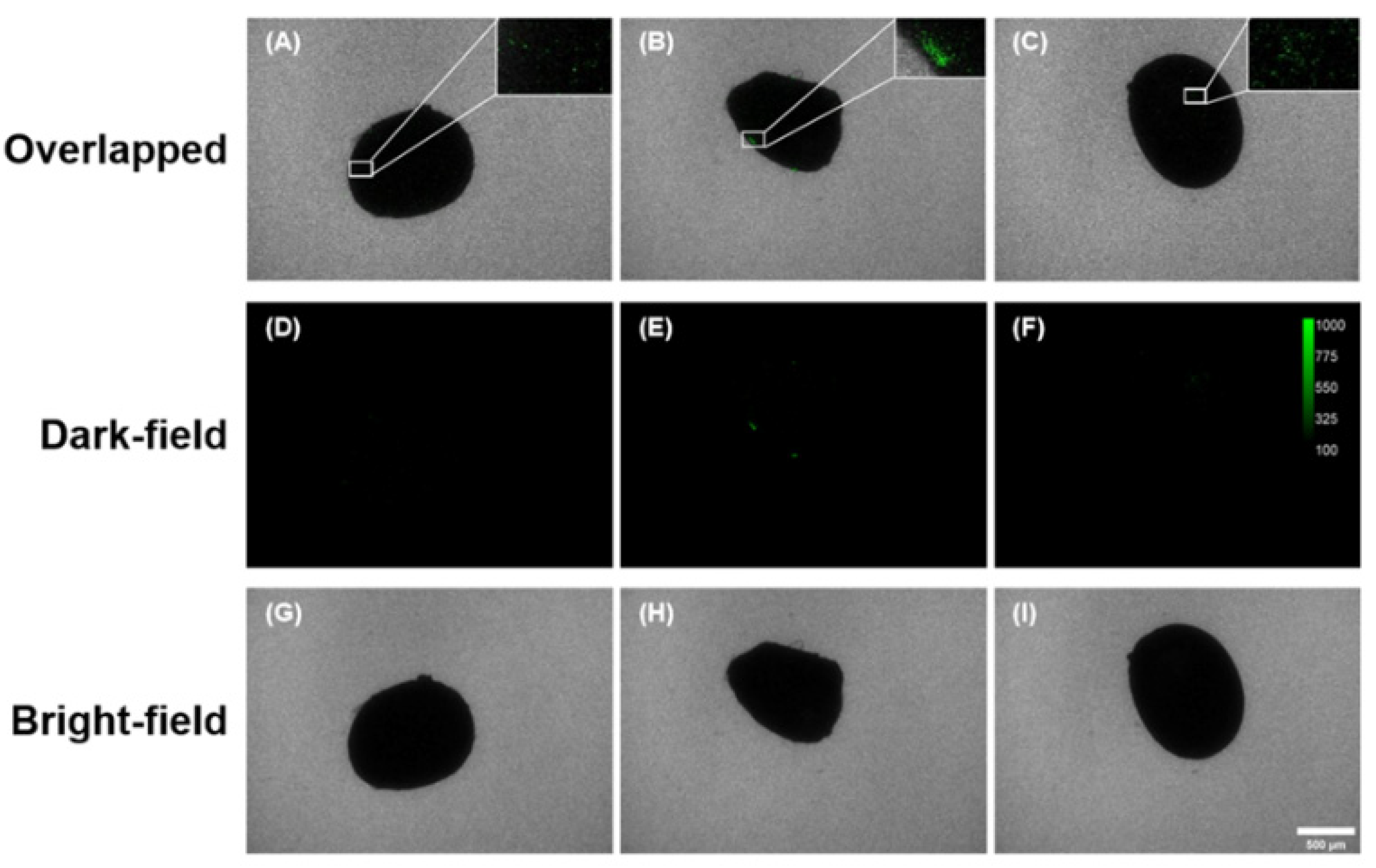 Sustainability 15 07090 g007