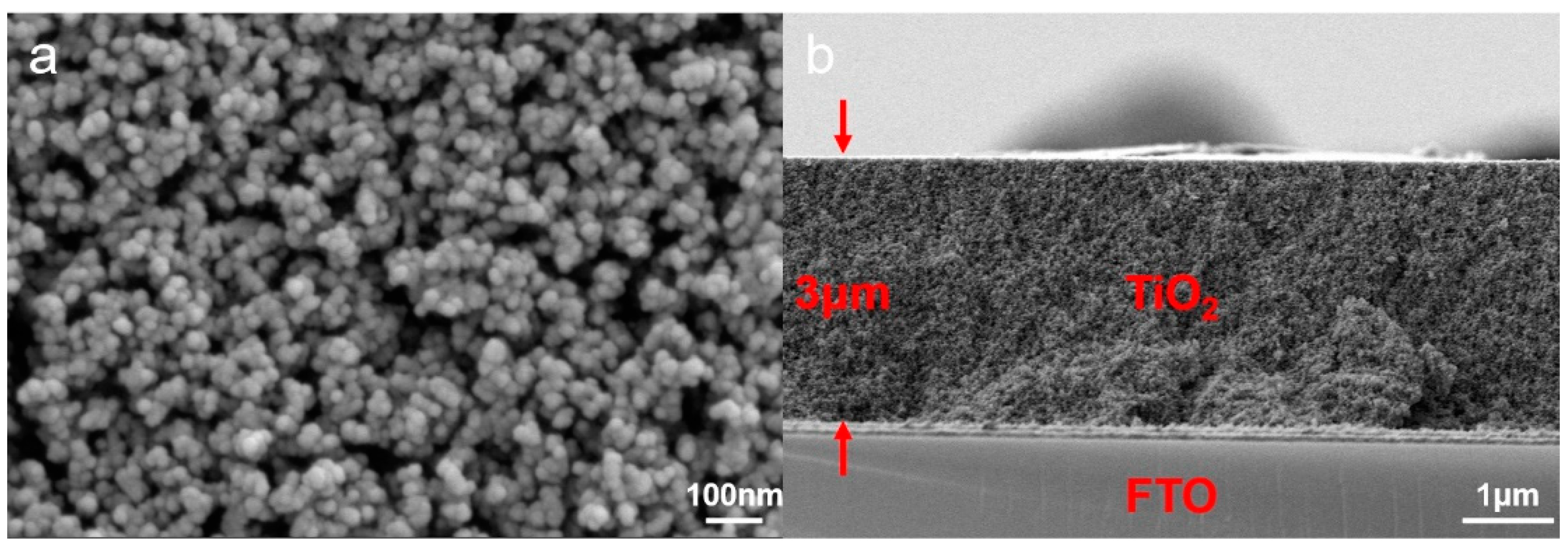 Sustainability 15 07092 g003