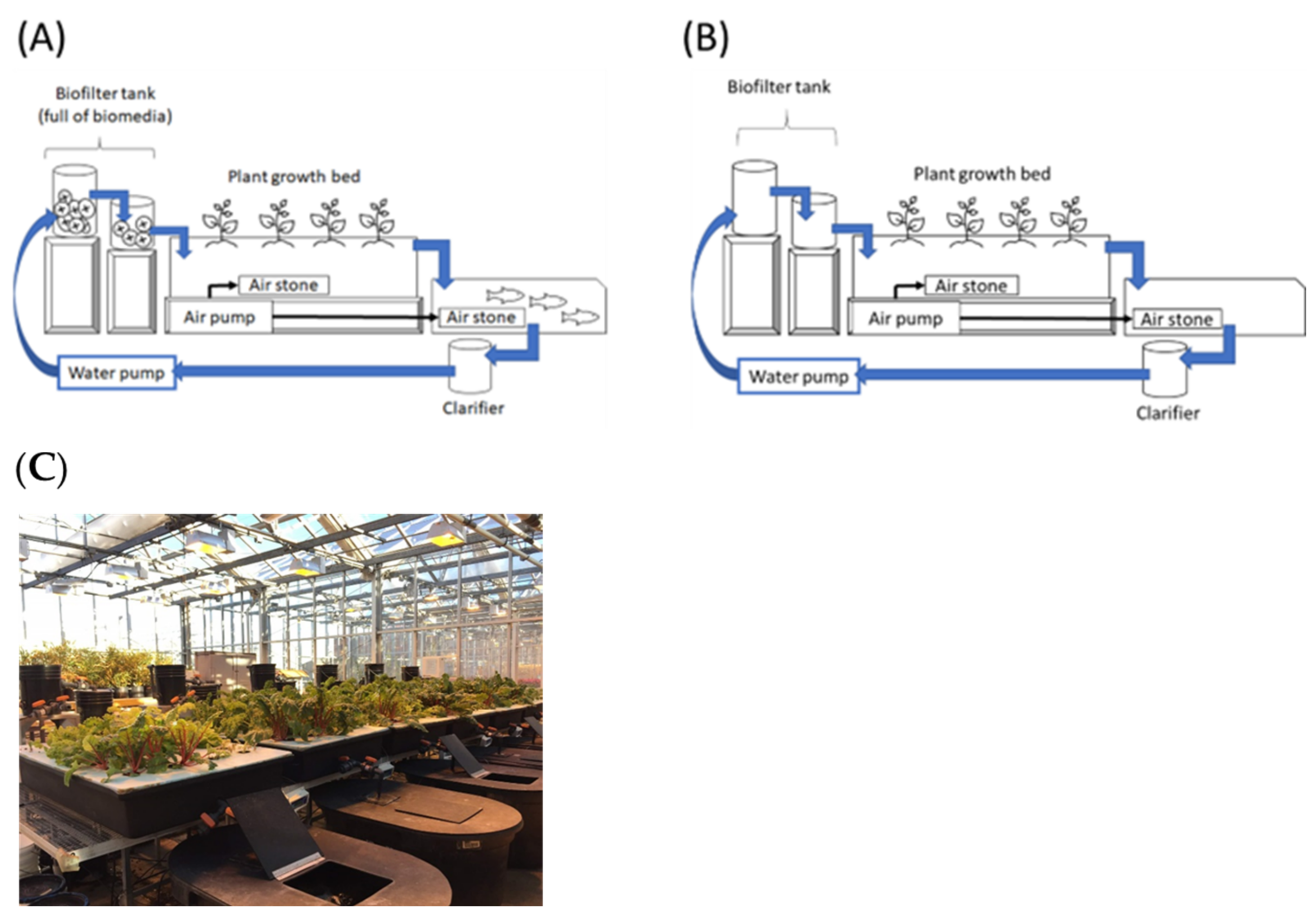 Sustainability 15 07137 g001