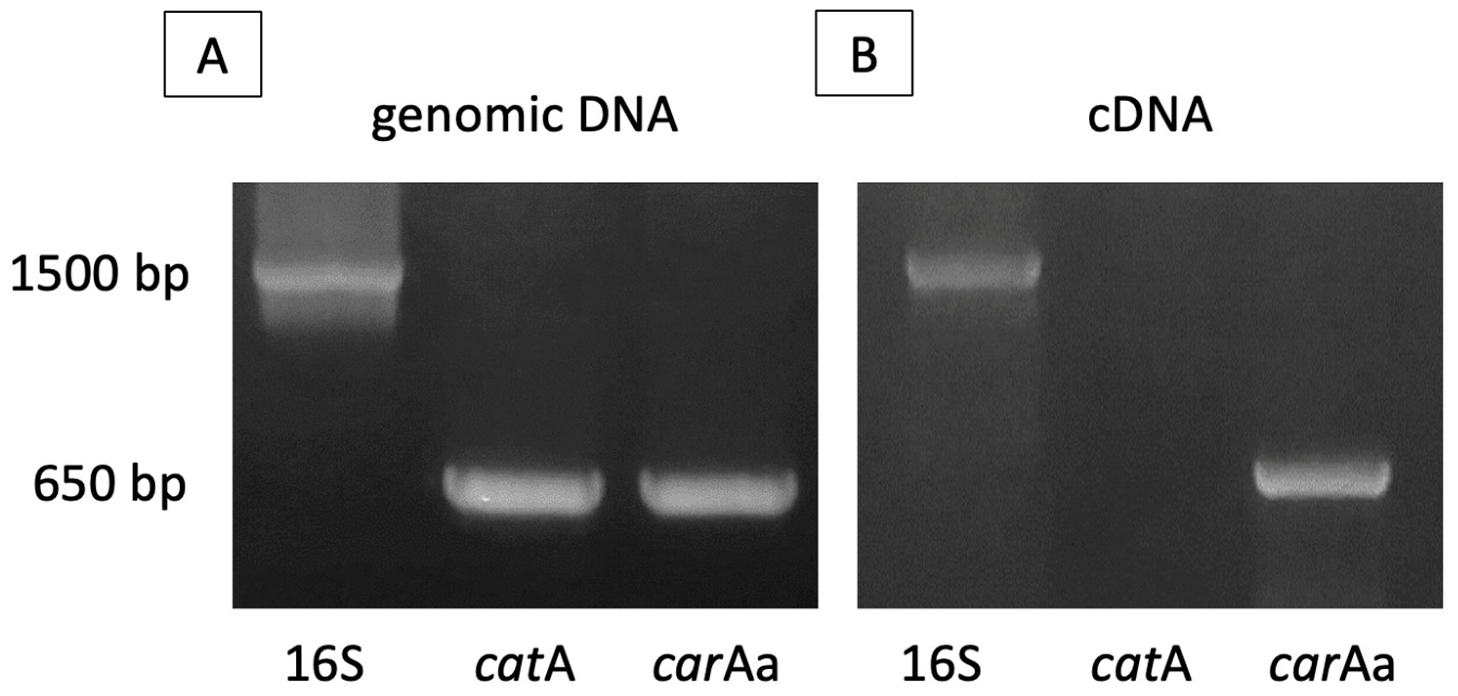 Sustainability 15 07197 g006