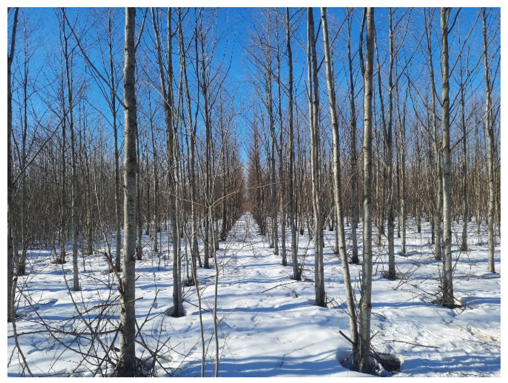 Sustainability 15 07242 g001