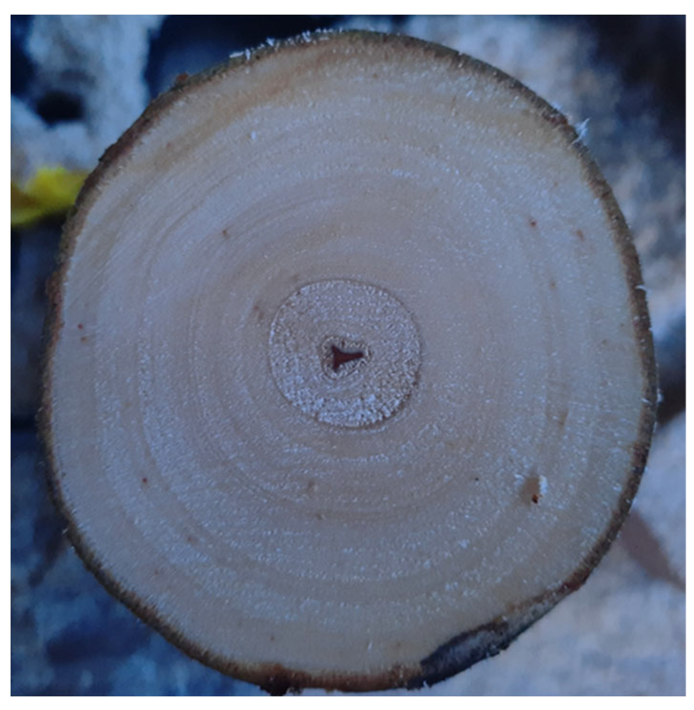 Sustainability 15 07242 g002