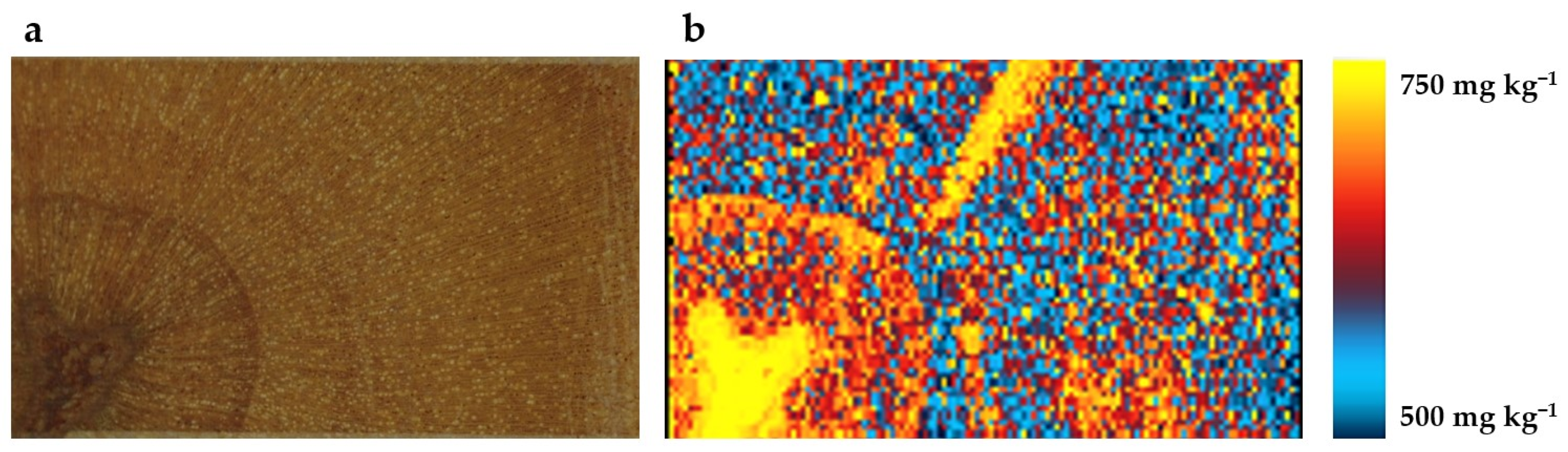 Sustainability 15 07242 g004