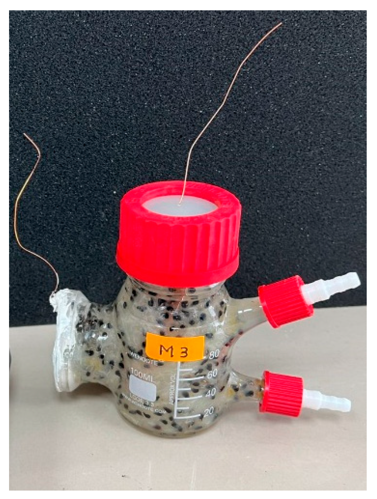 Sustainability 15 07316 g001