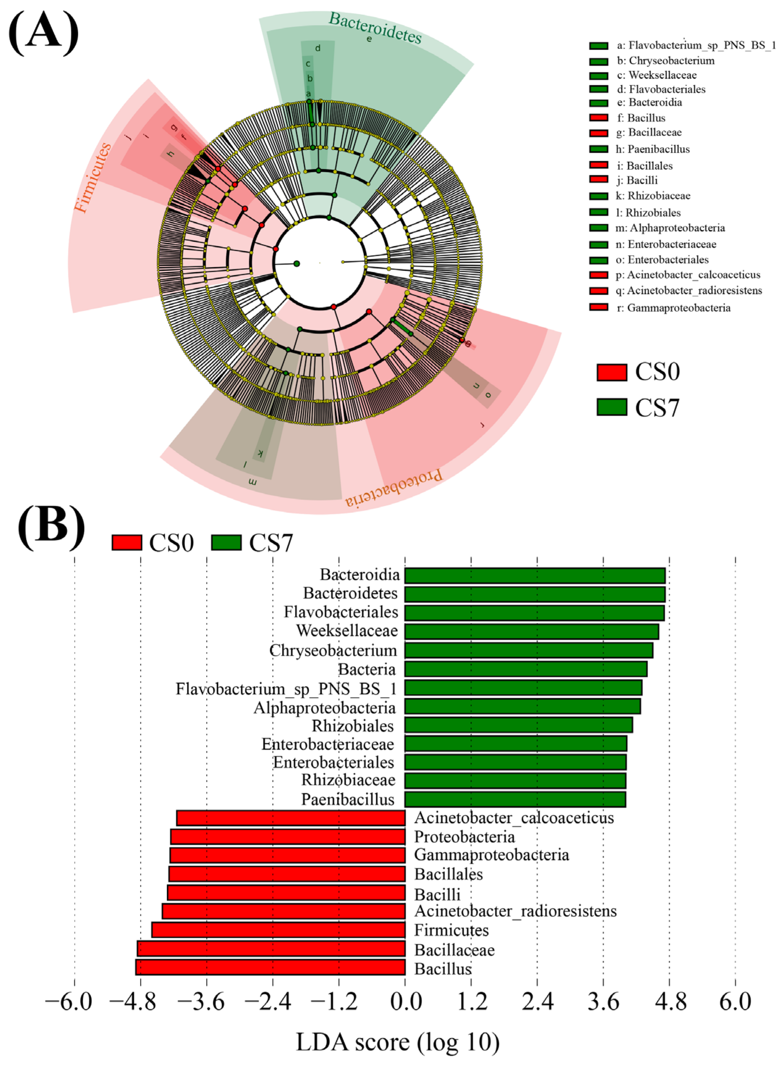 Sustainability 15 07362 g004 Sustainability 15 07362 g004