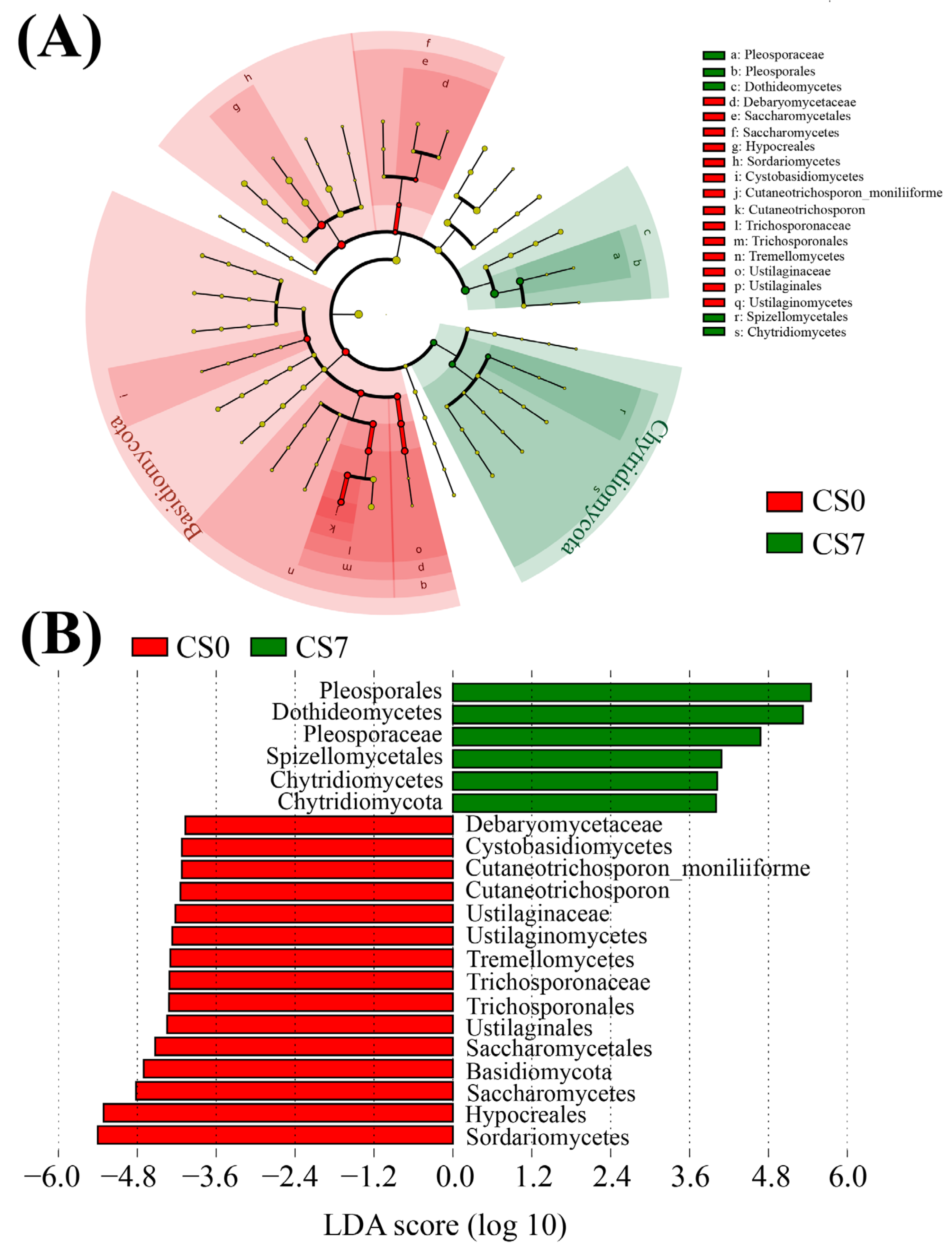 Sustainability 15 07362 g005 Sustainability 15 07362 g005