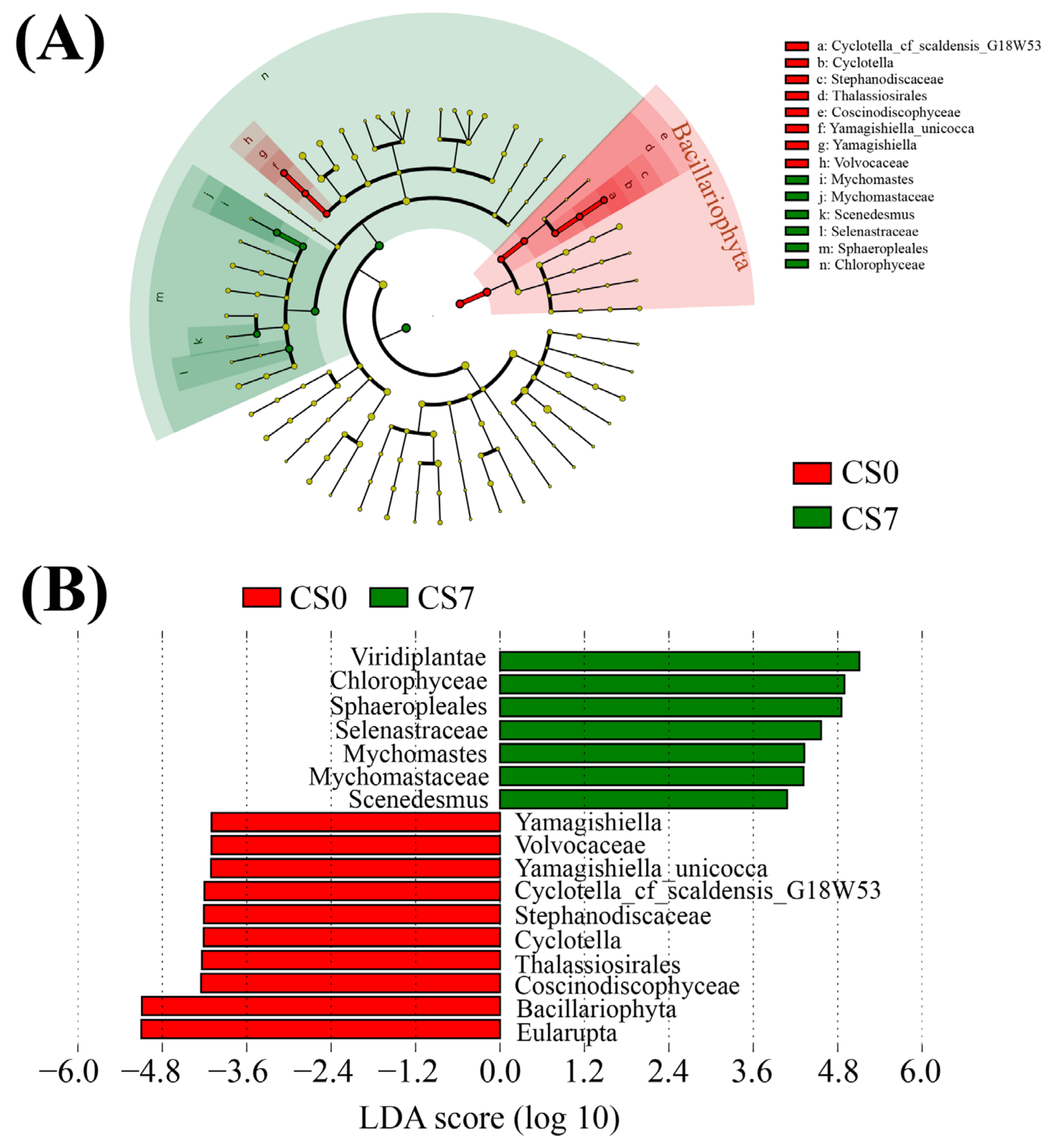 Sustainability 15 07362 g006 Sustainability 15 07362 g006