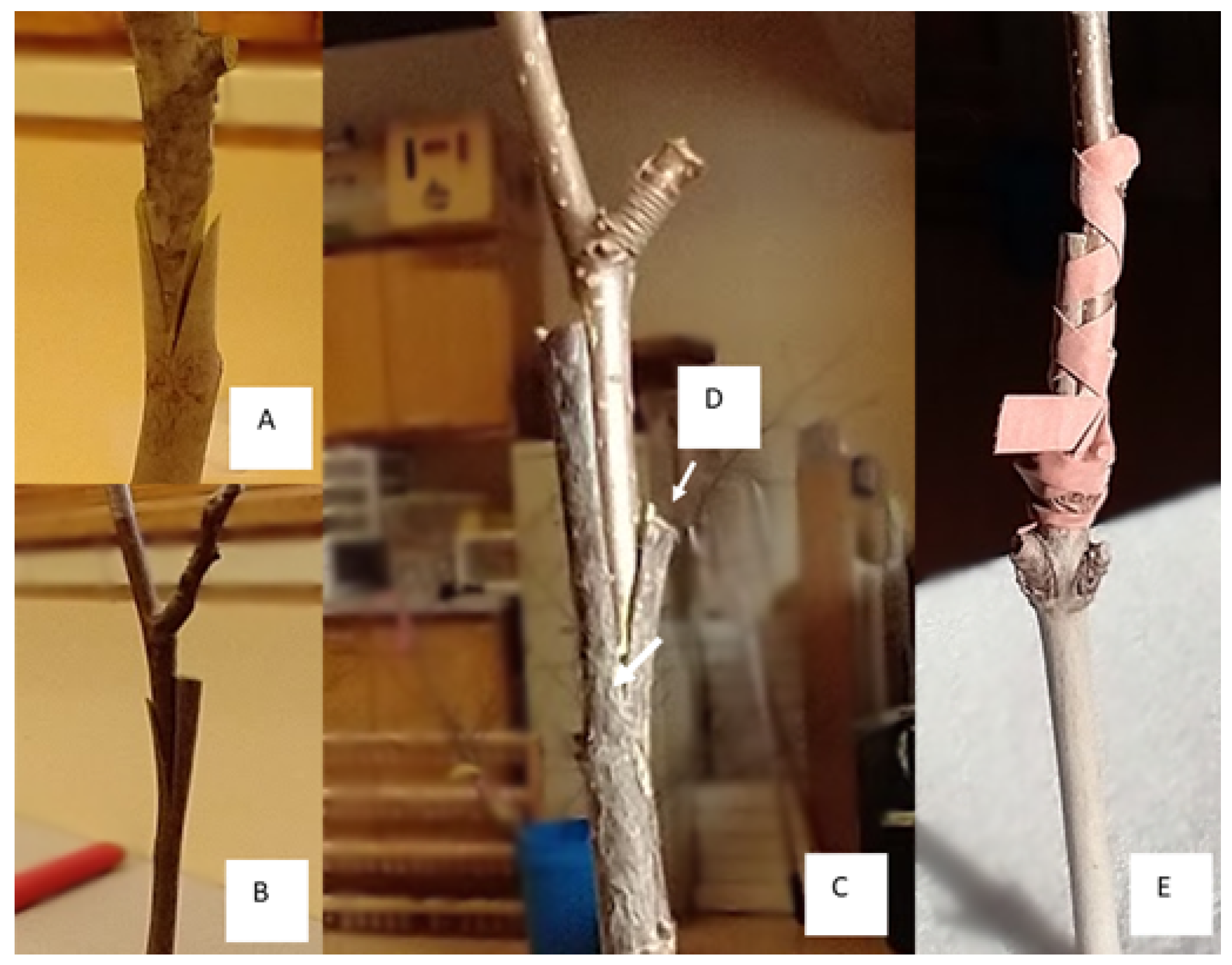 Sustainability 15 07490 g001