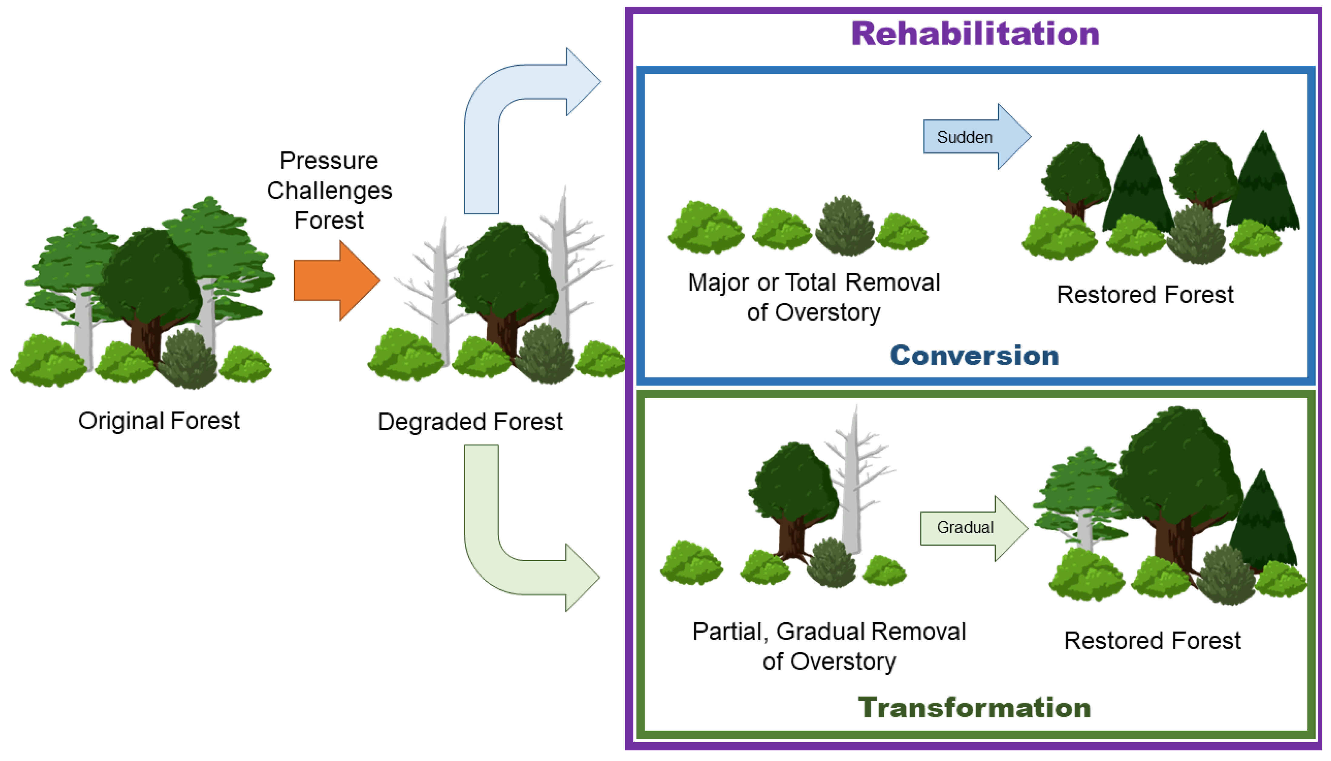 Sustainability 15 07490 g002