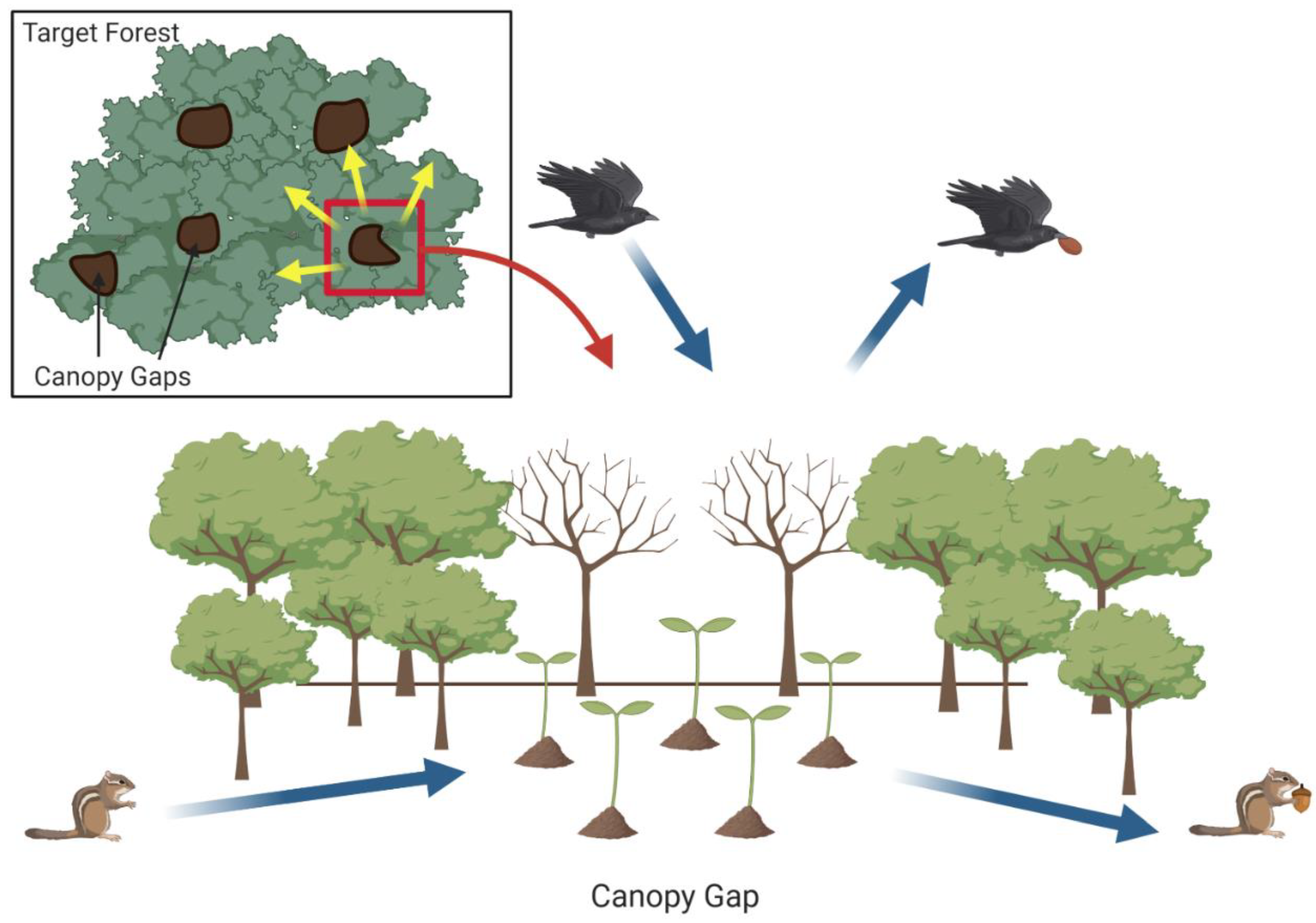 Sustainability 15 07490 g004
