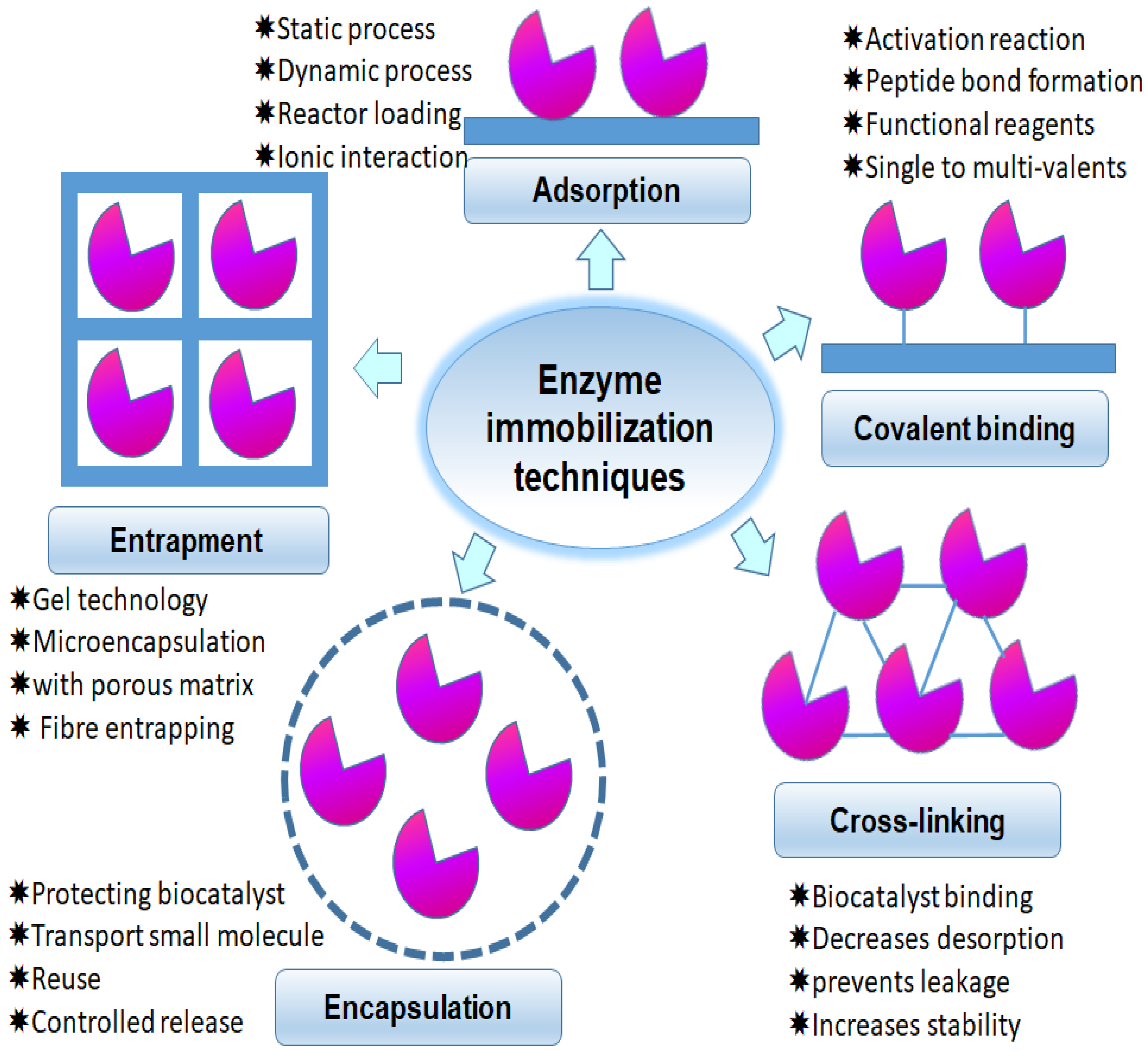 Sustainability 15 07511 g001