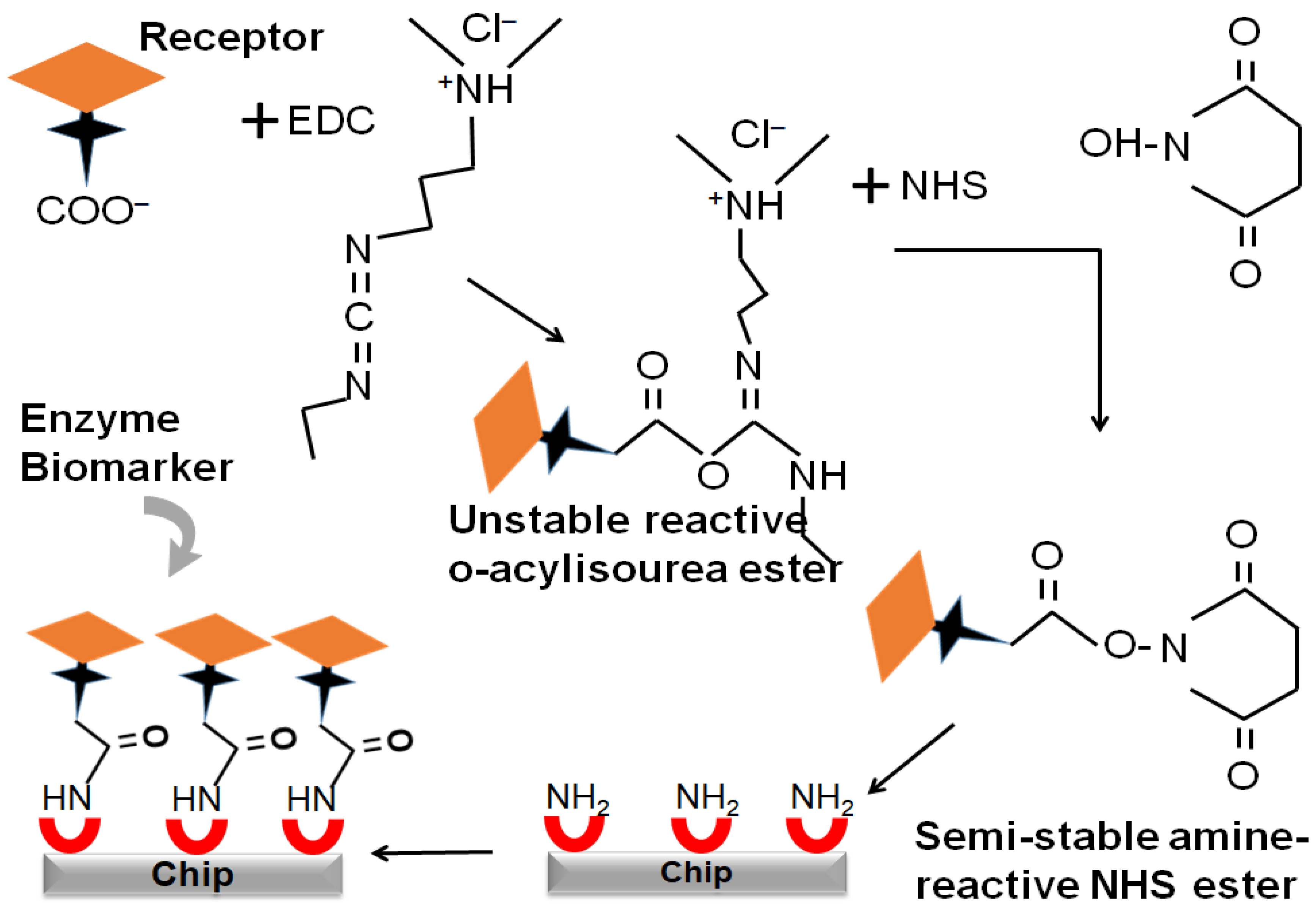 Sustainability 15 07511 g002