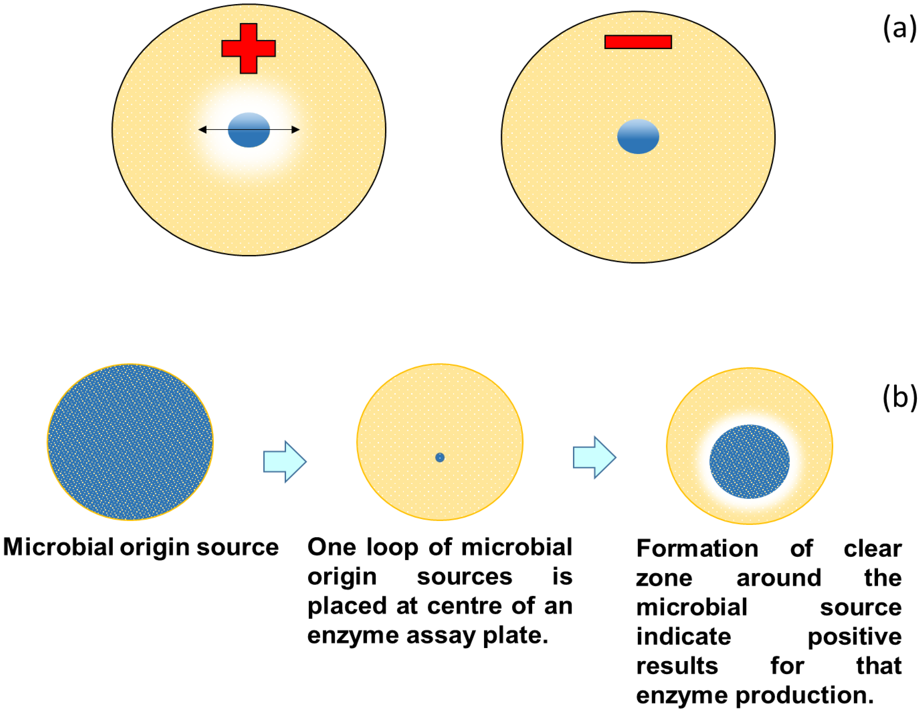Sustainability 15 07511 g006
