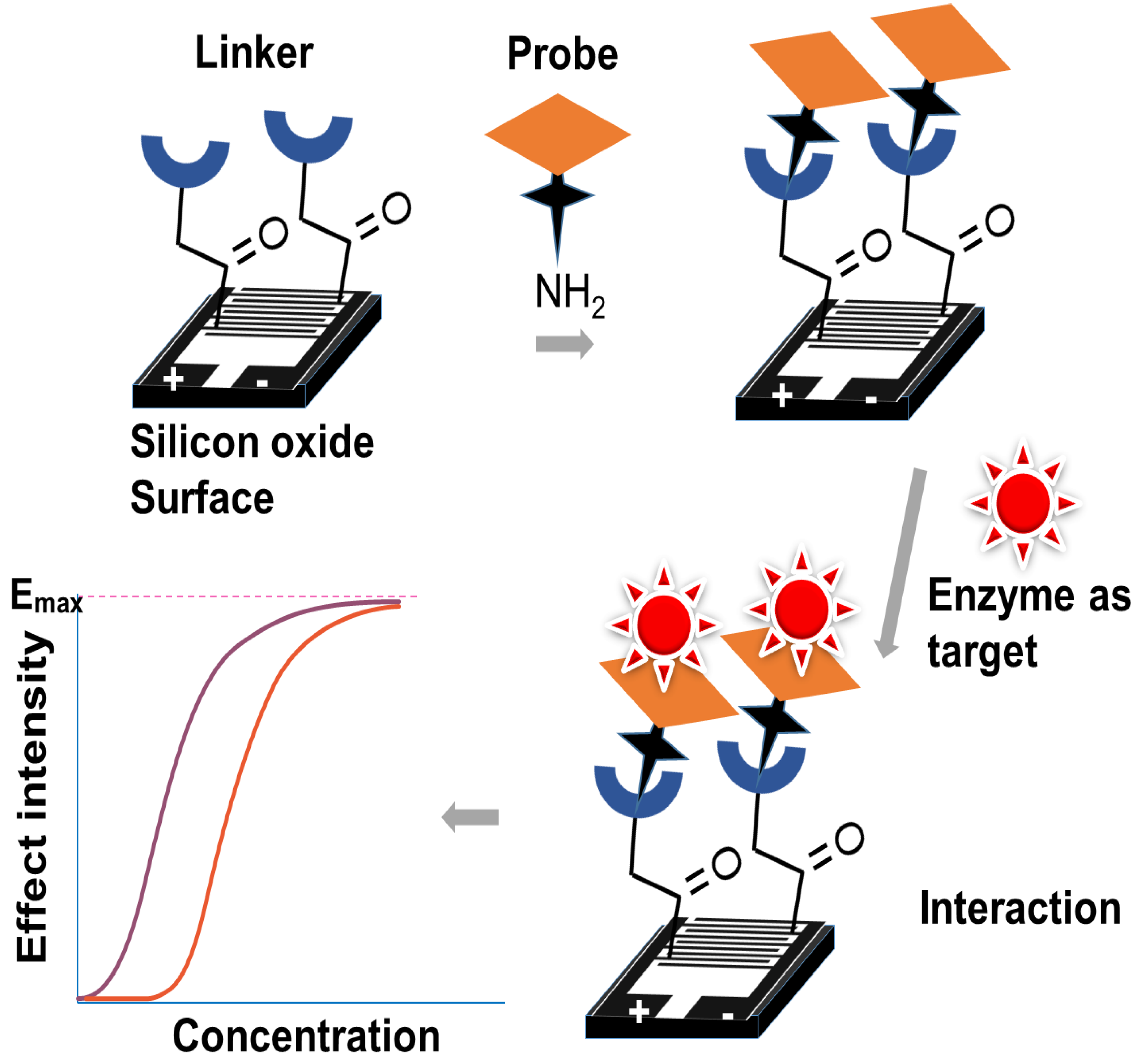 Sustainability 15 07511 g008