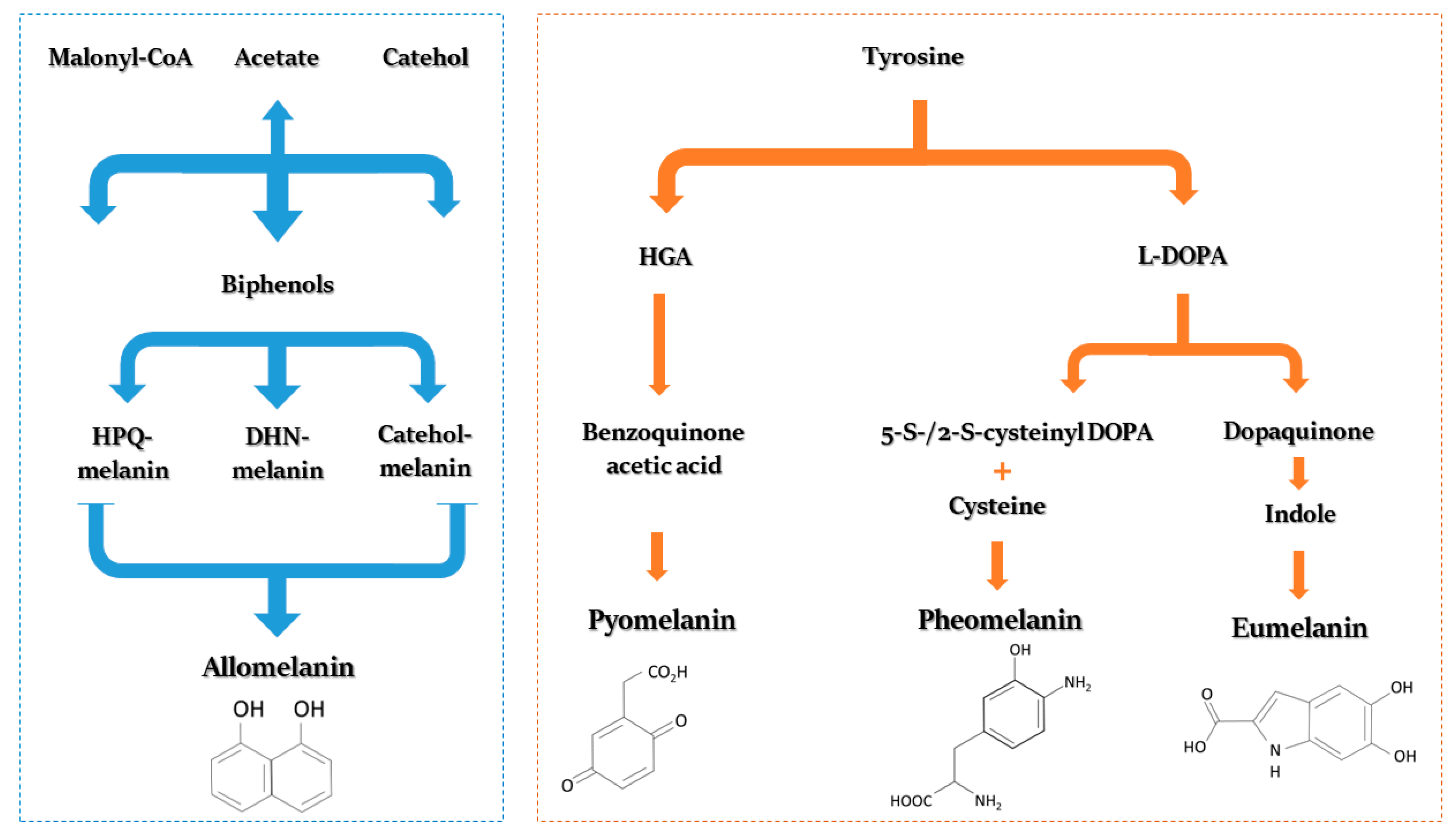 Sustainability 15 07516 g003 Sustainability 15 07516 g003