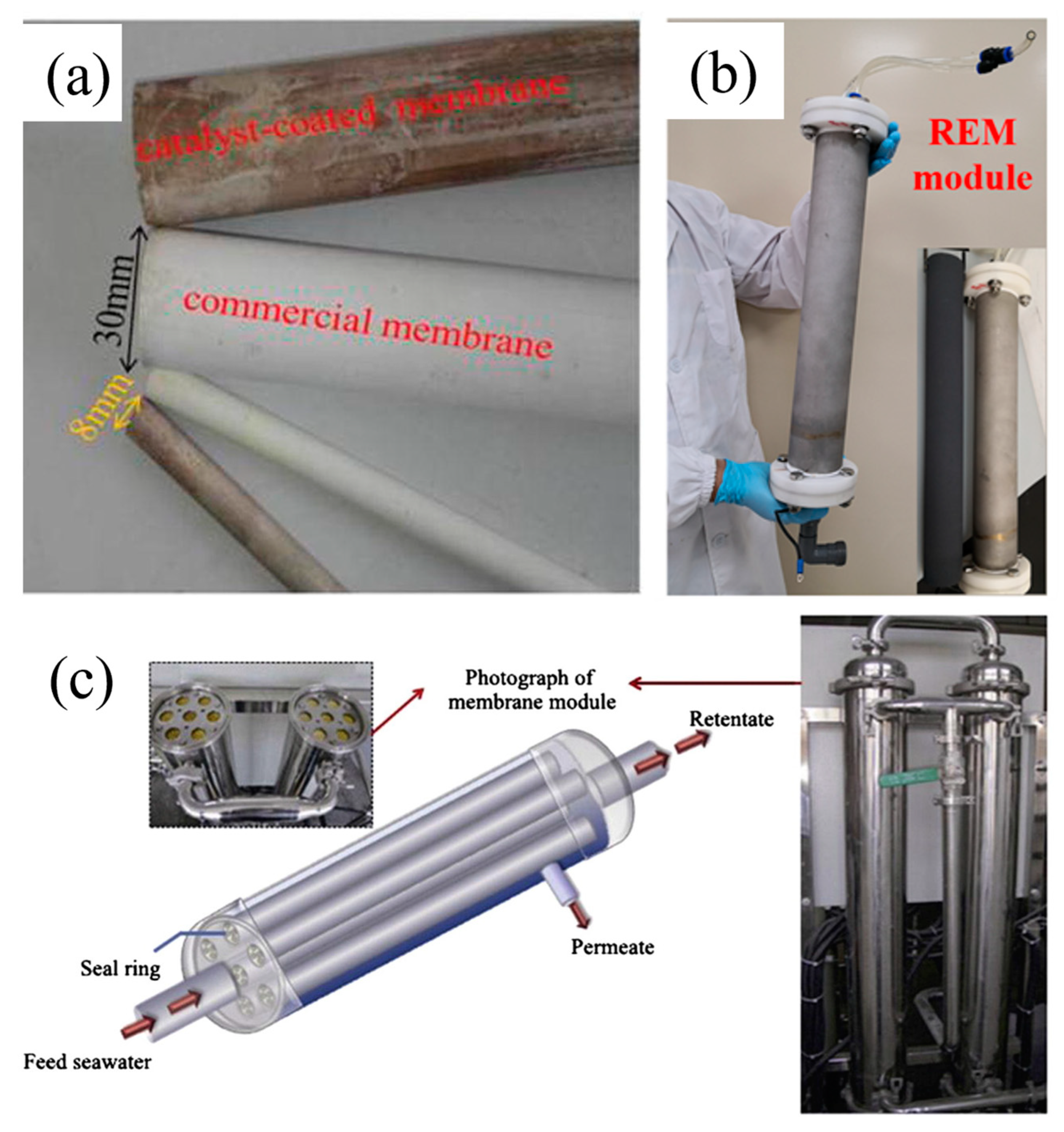 Sustainability 15 07556 g008