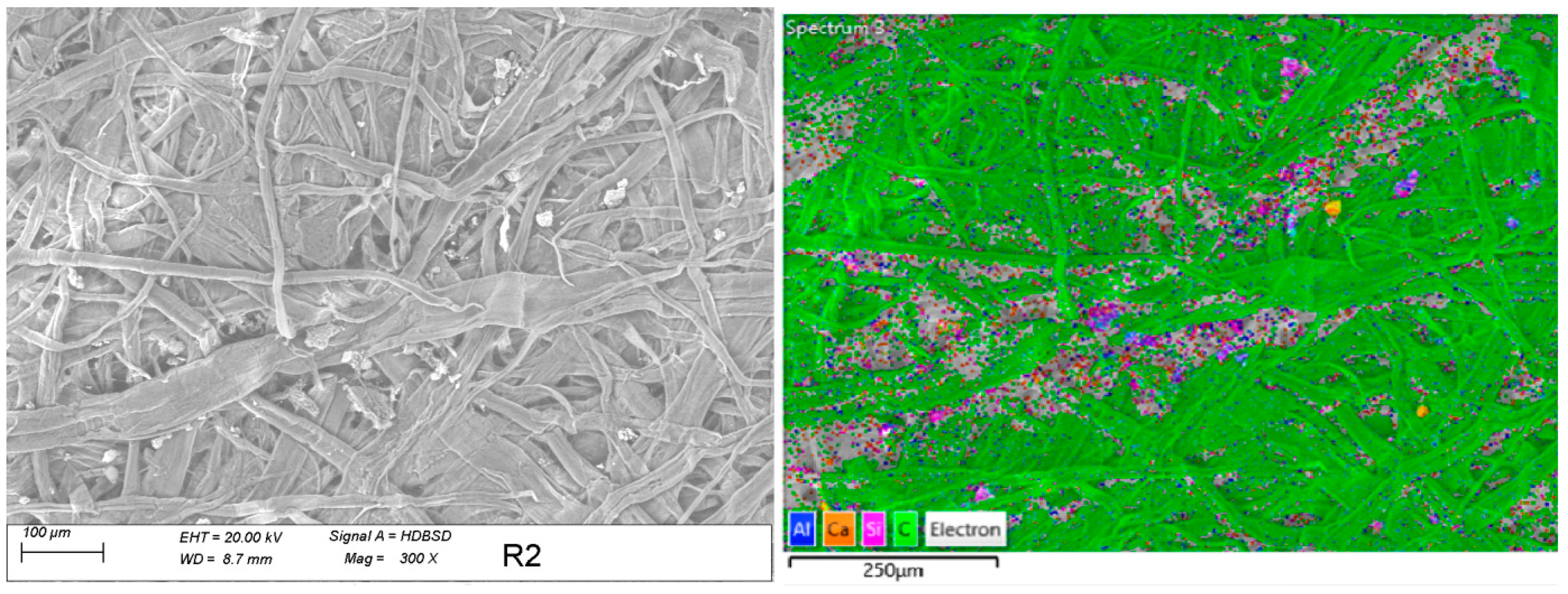 Sustainability 15 07568 g002