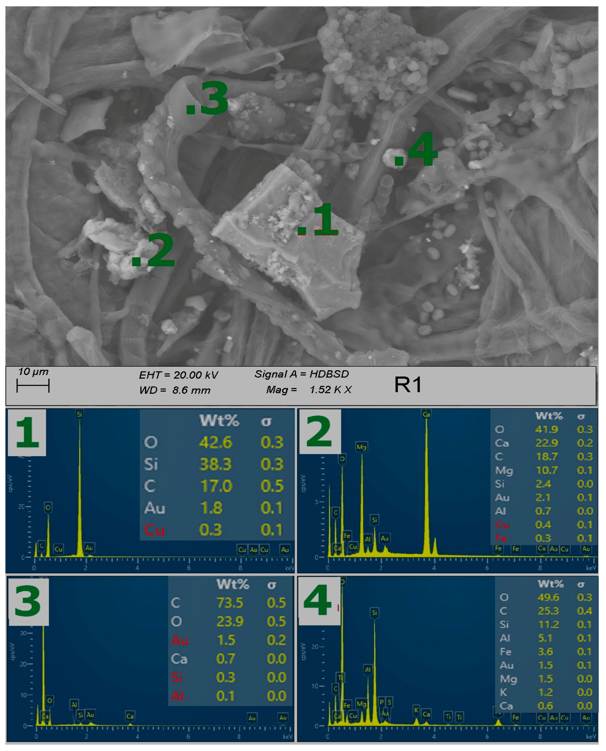 Sustainability 15 07568 g006
