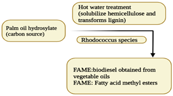 Sustainability 15 07578 i004