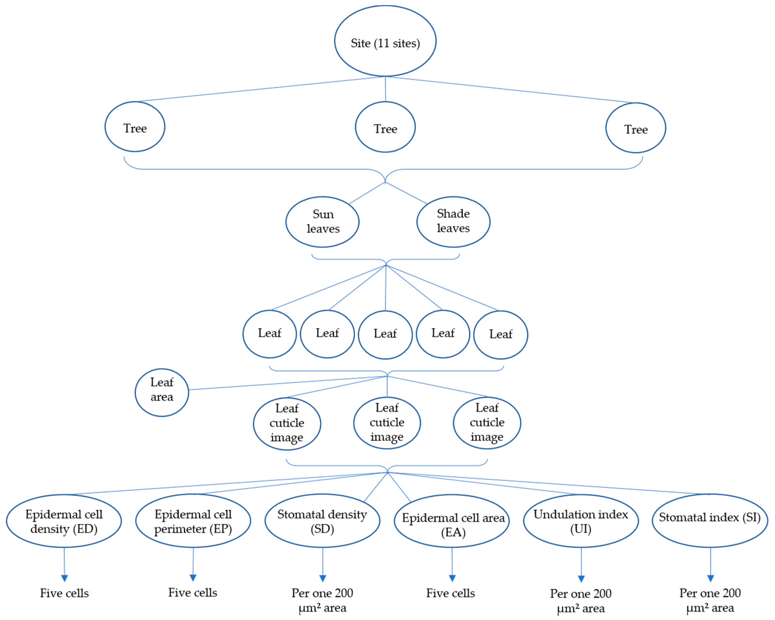 Sustainability 15 07603 g002