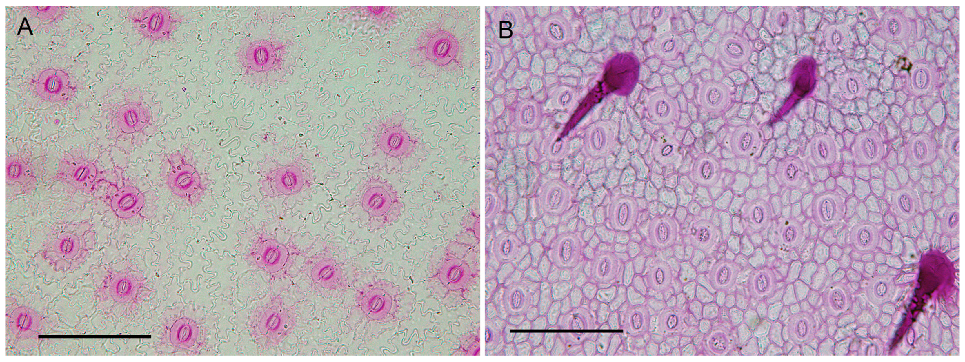 Sustainability 15 07603 g003