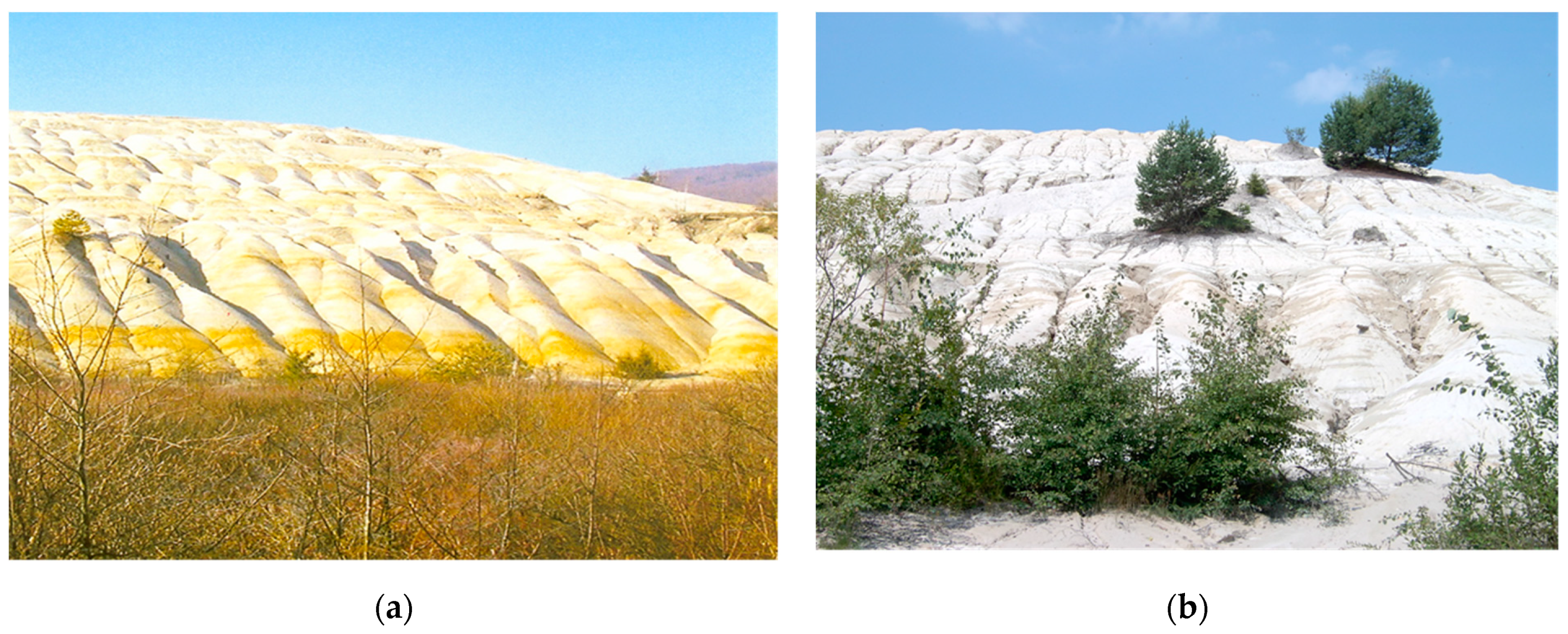 Sustainability 15 07606 g003