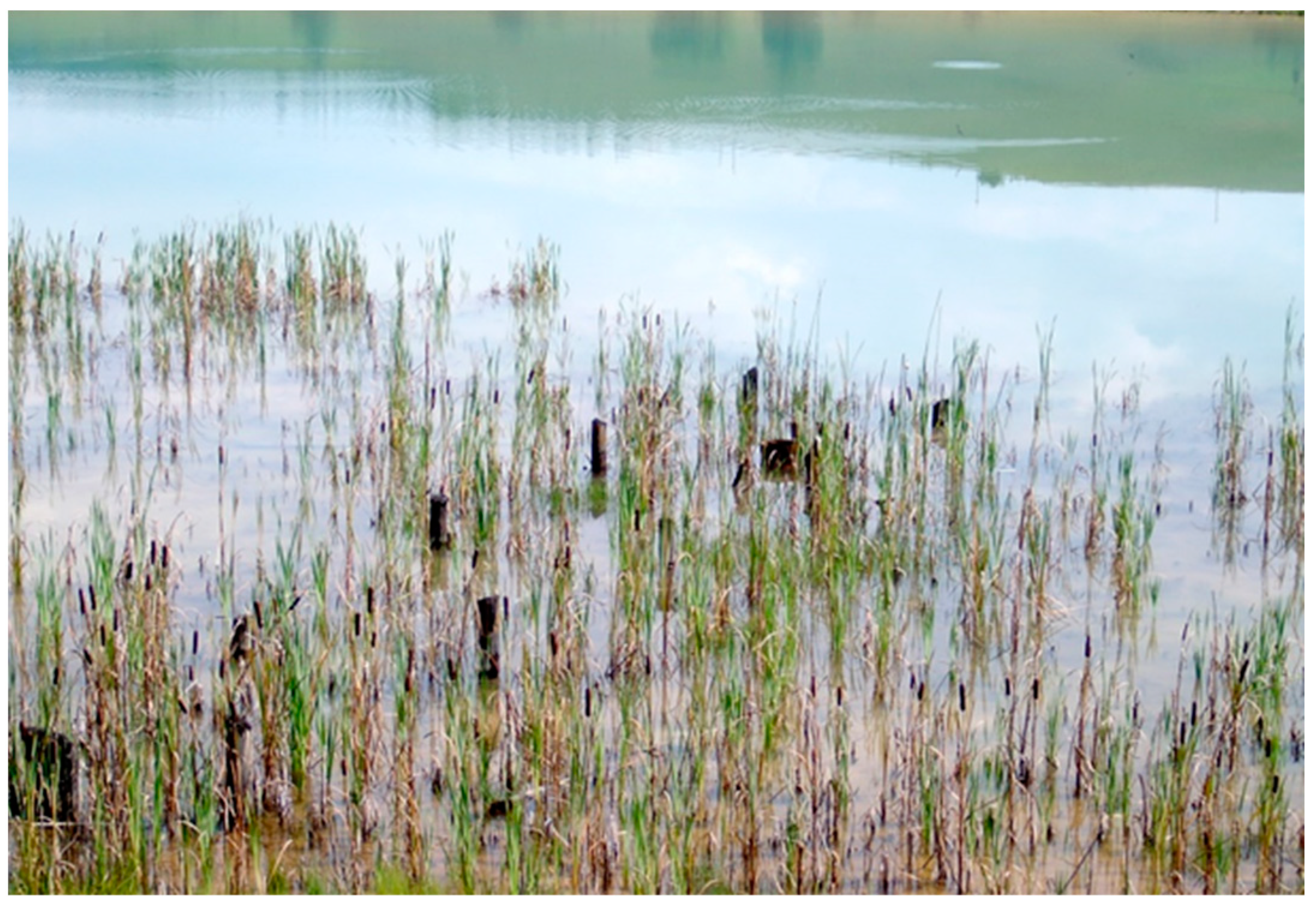 Sustainability 15 07606 g005