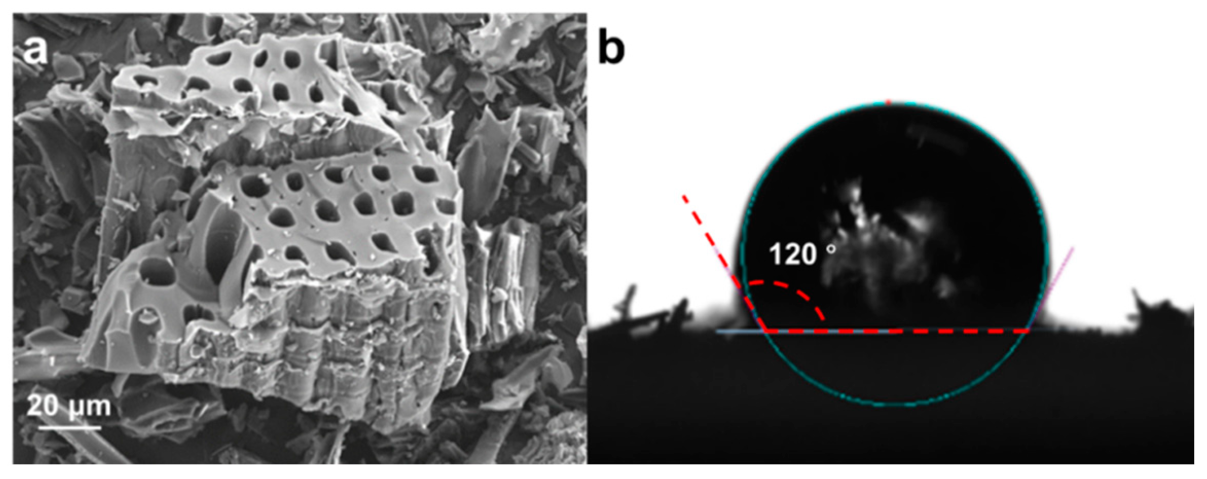 Sustainability 15 07698 g002