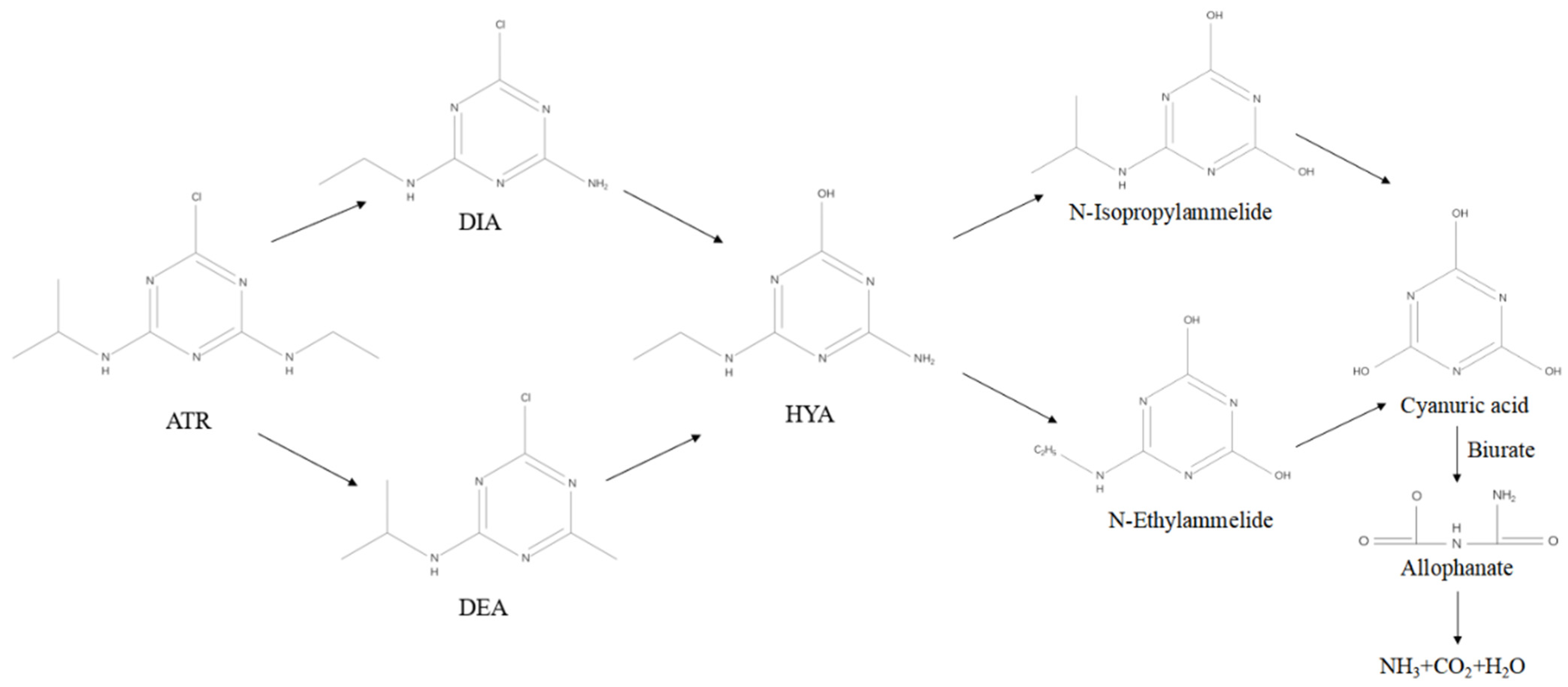 Sustainability 15 07706 g006