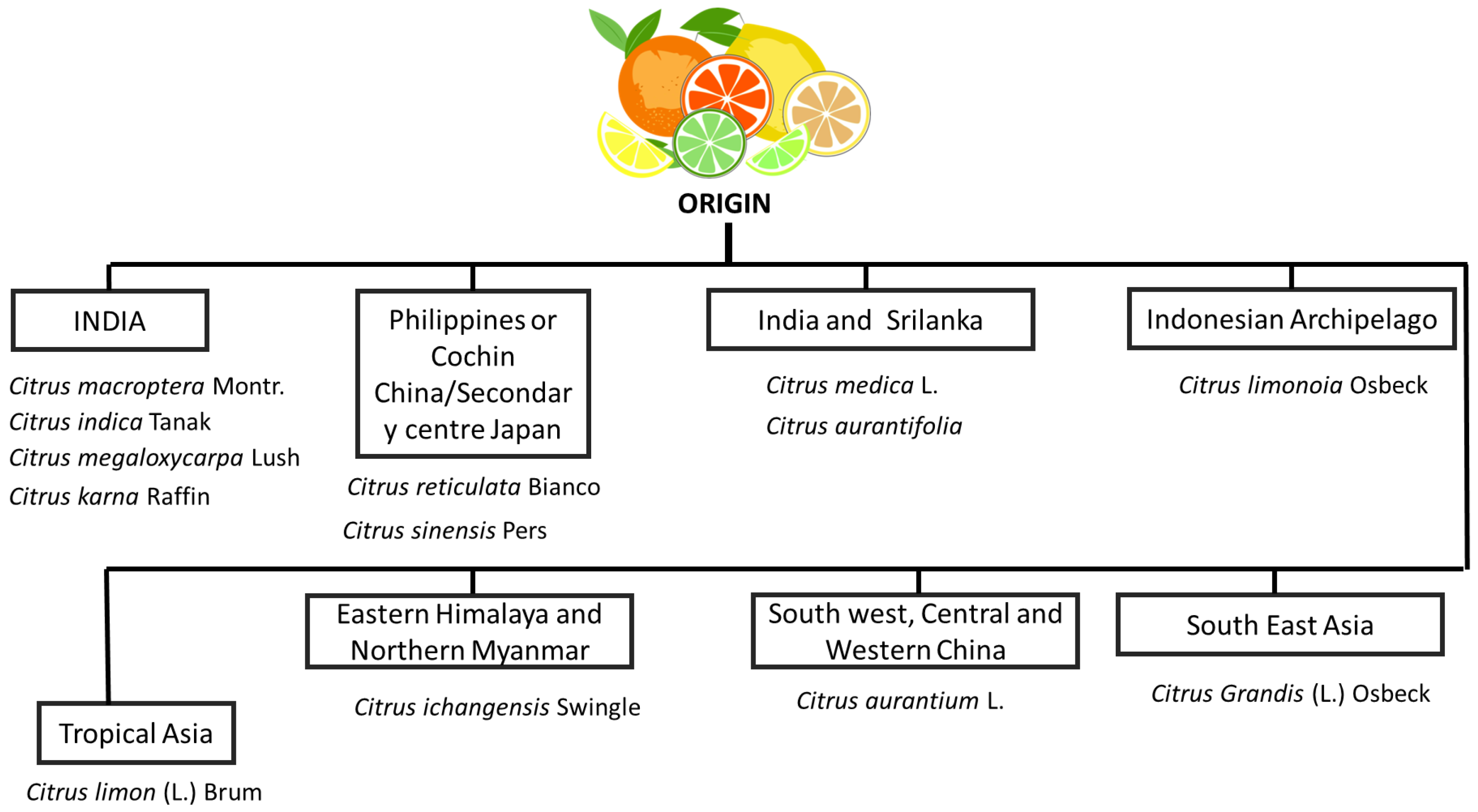 Sustainability 15 07731 g002