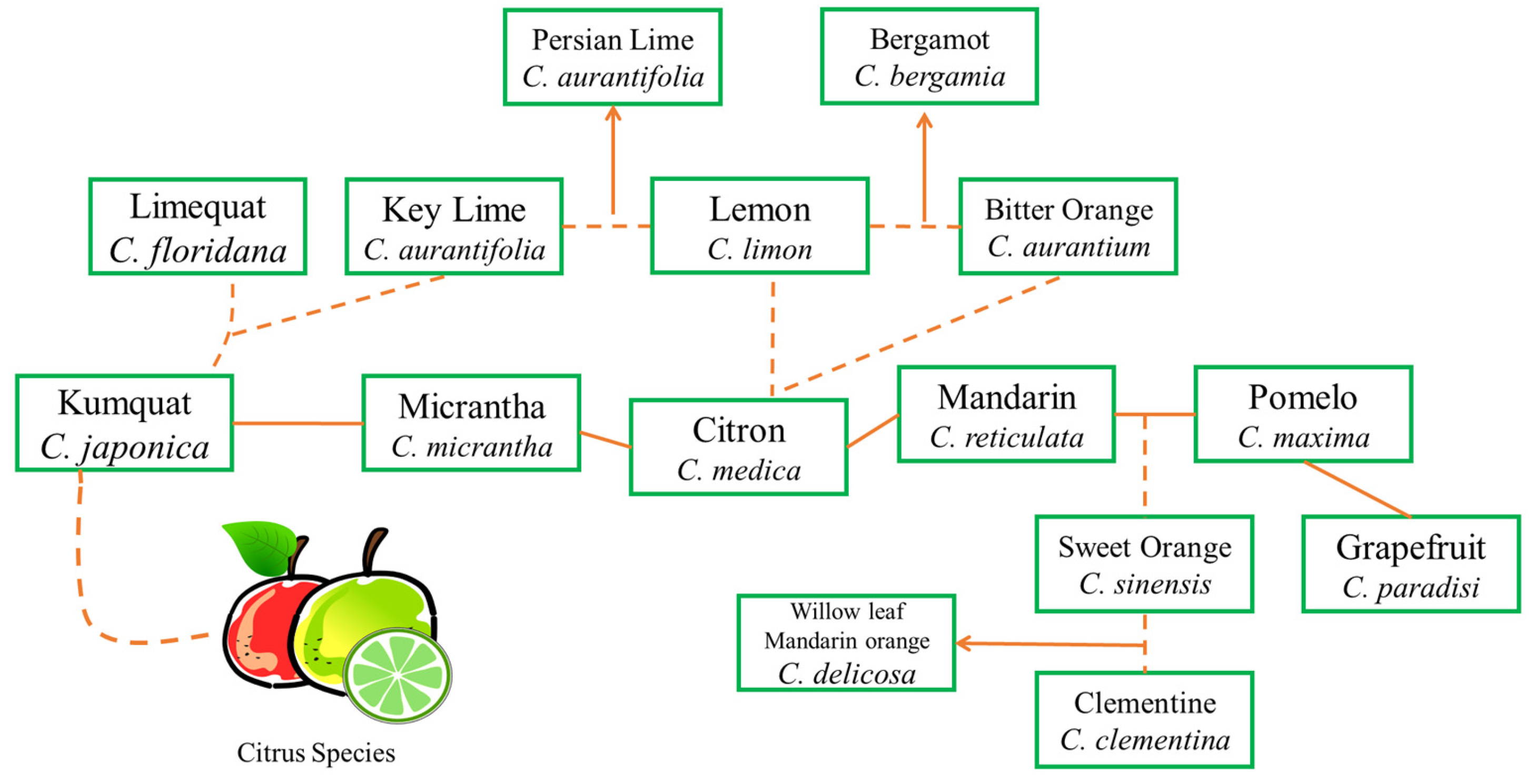 Sustainability 15 07731 g003