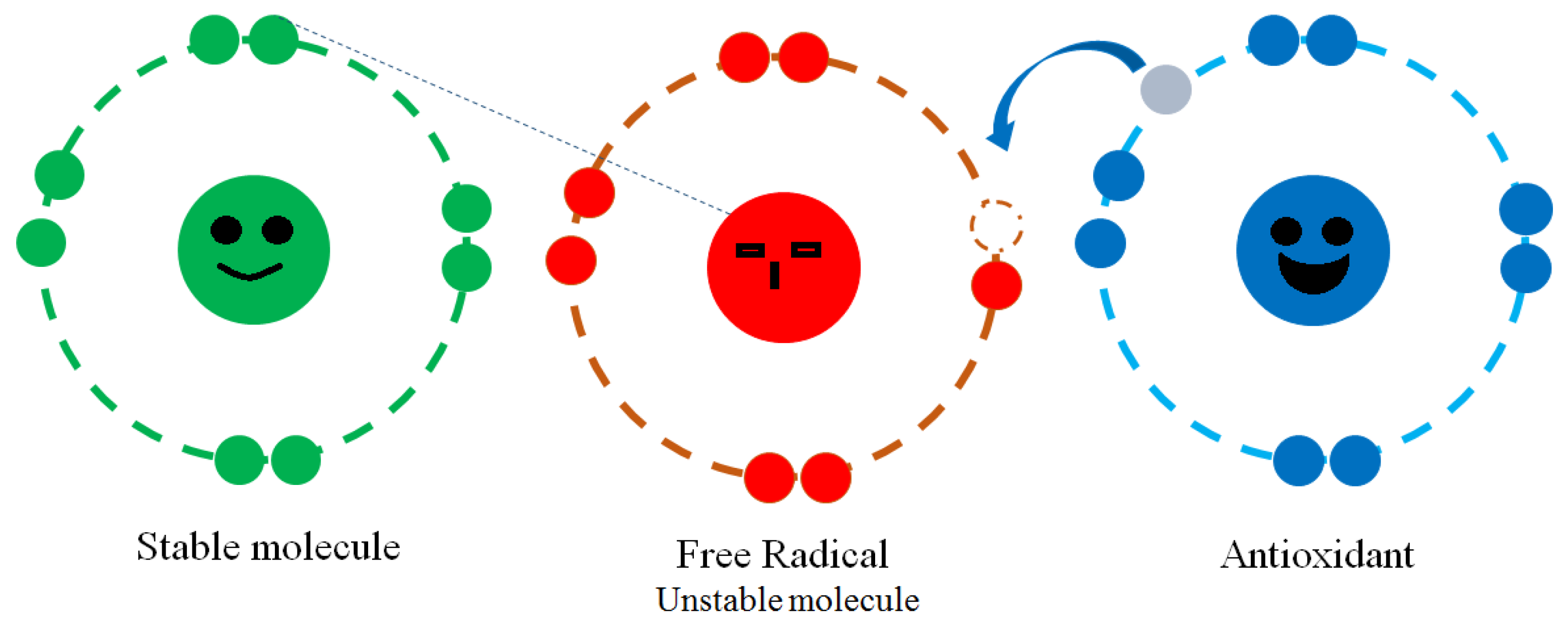 Sustainability 15 07731 g005
