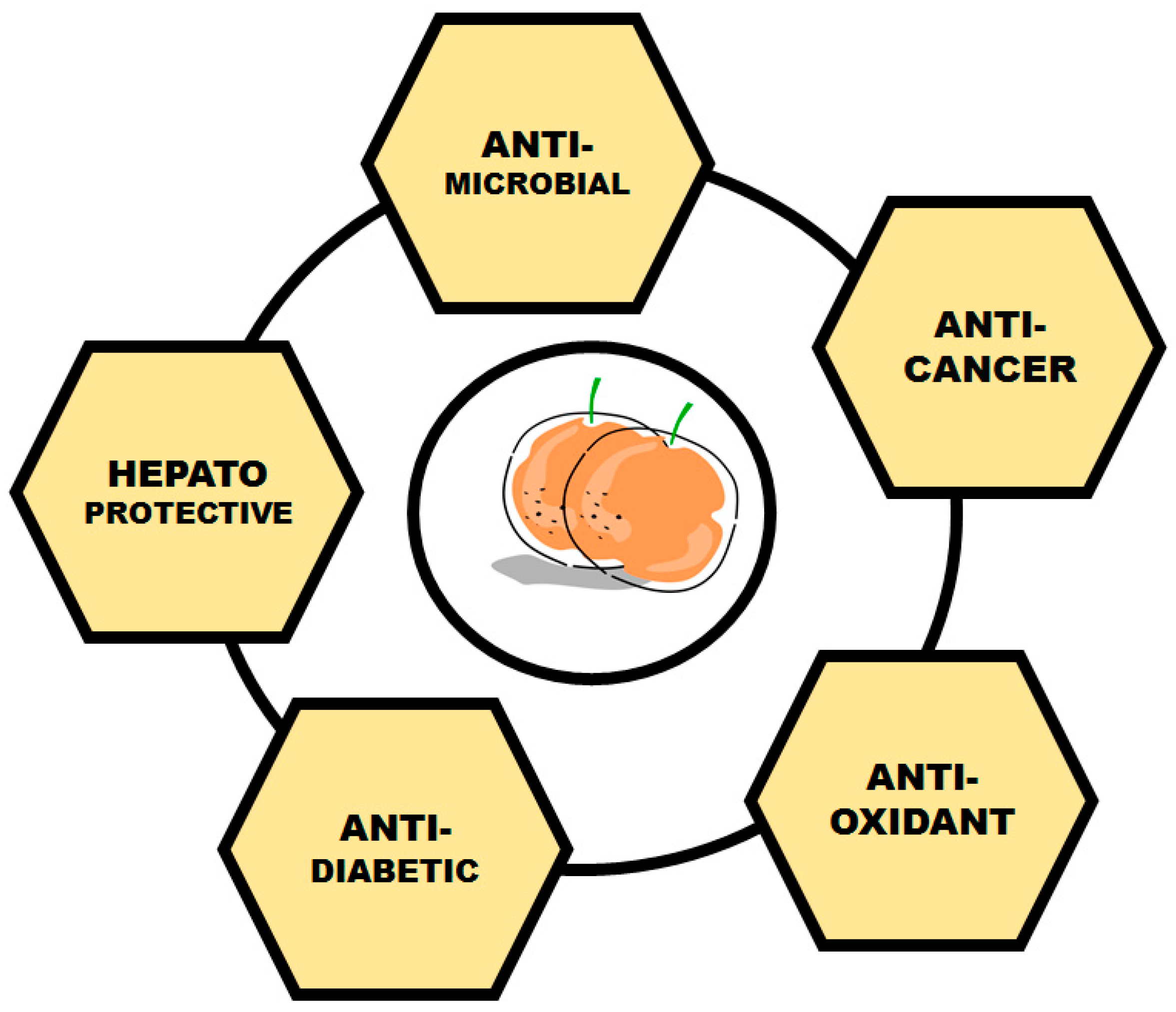 Sustainability 15 07731 g006