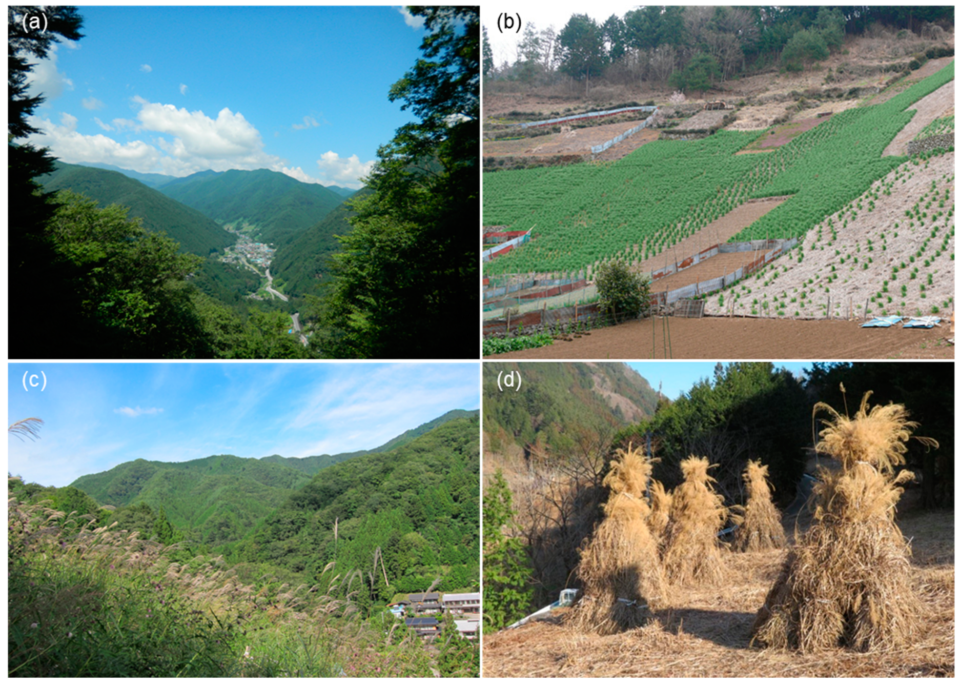 Sustainability 15 07742 g003