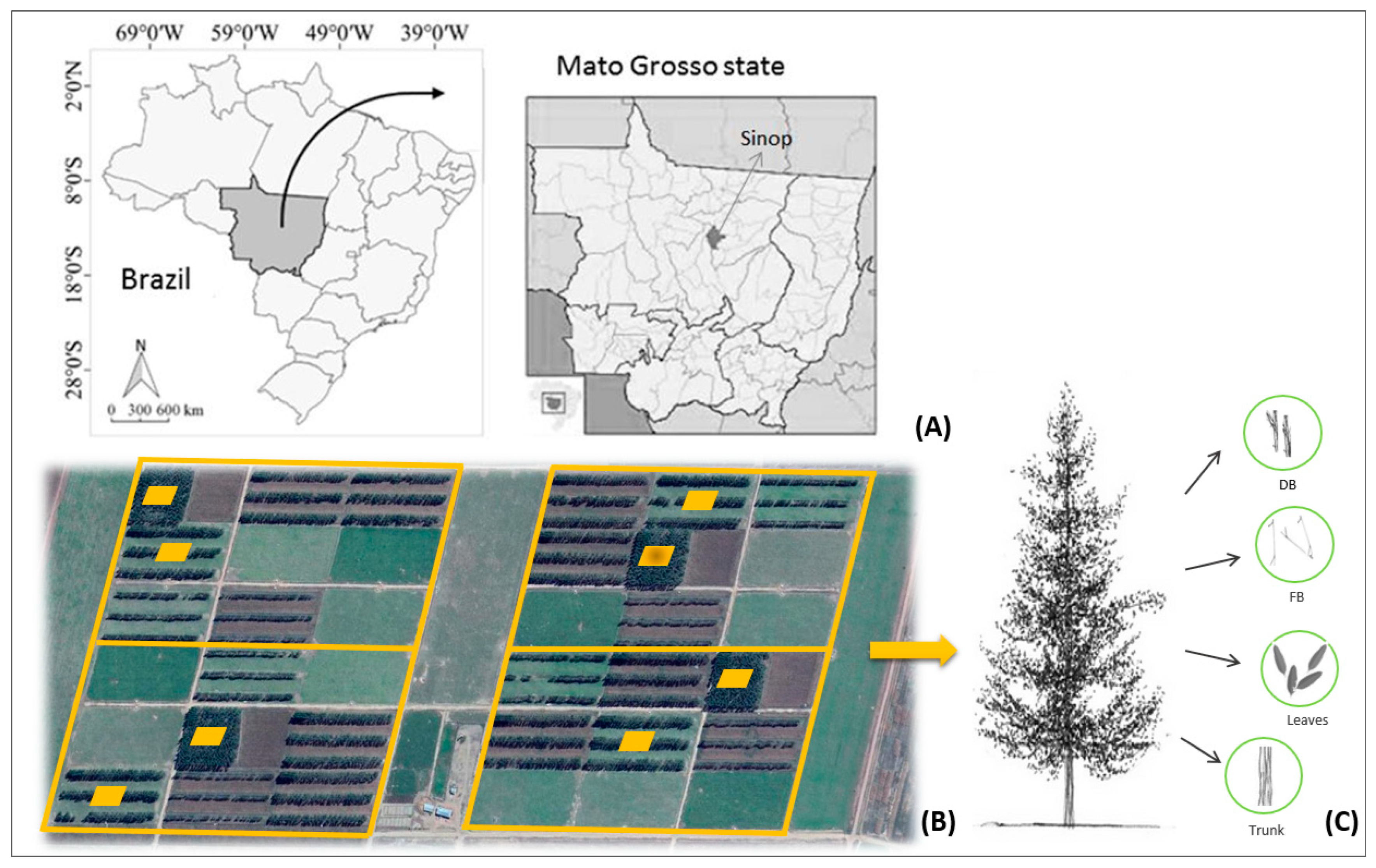 Sustainability 15 07750 g001