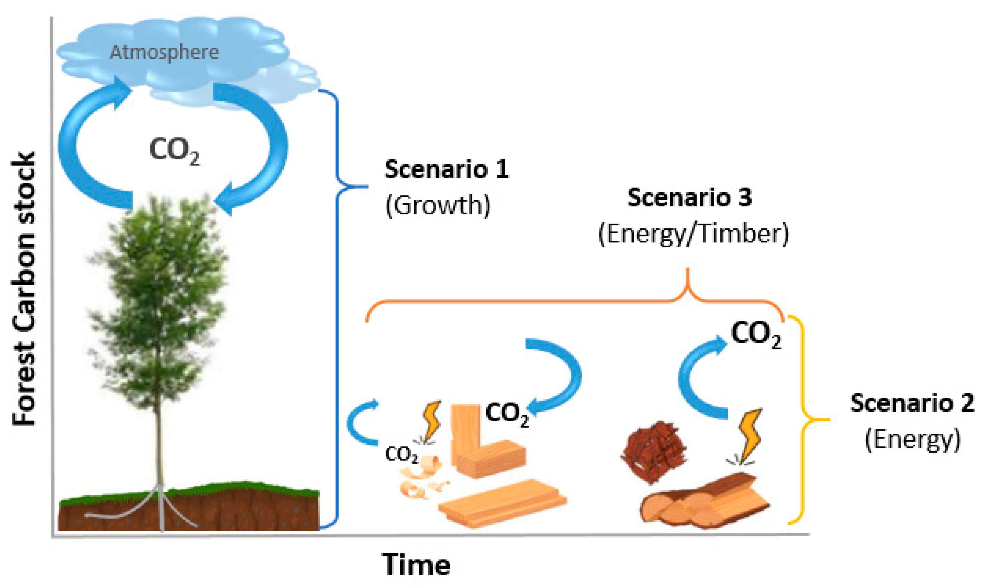 Sustainability 15 07750 g002