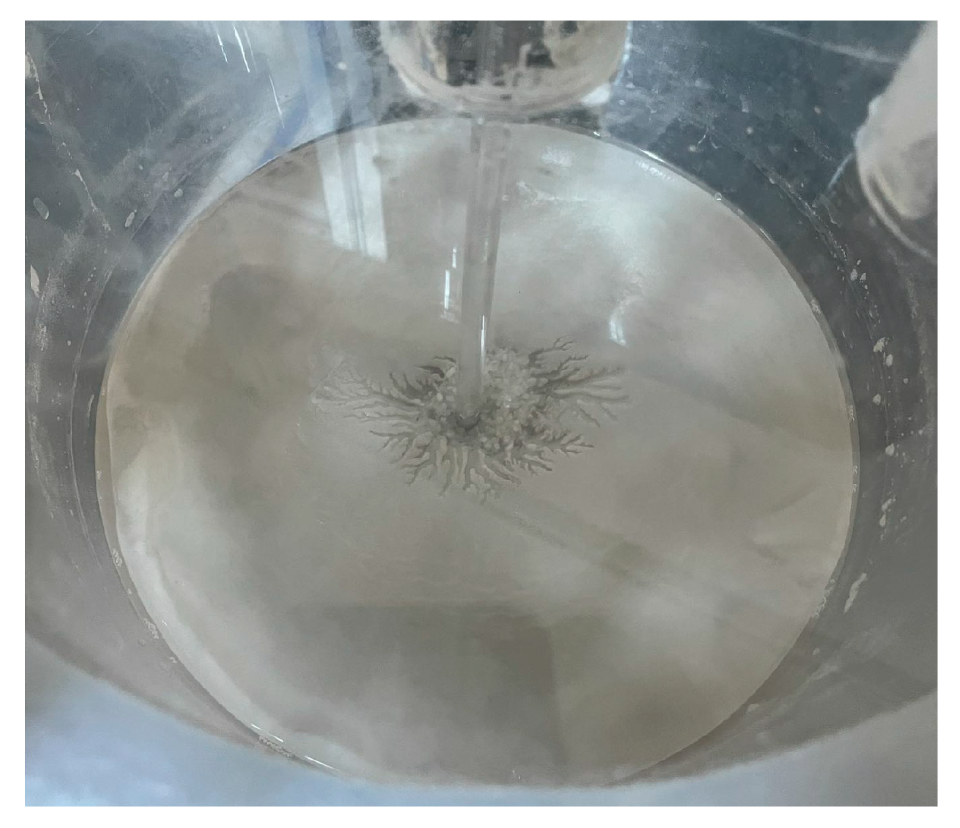 Sustainability 15 07793 g017