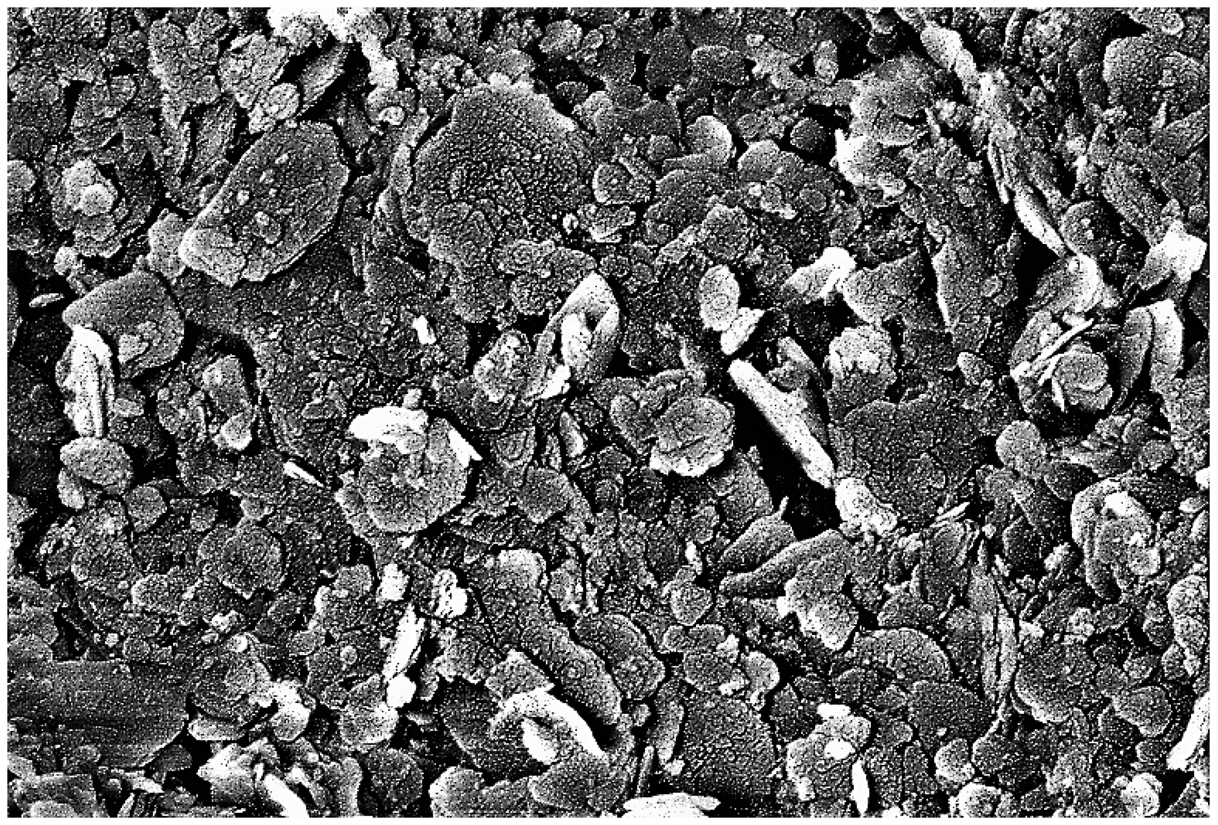 Sustainability 15 07833 g016