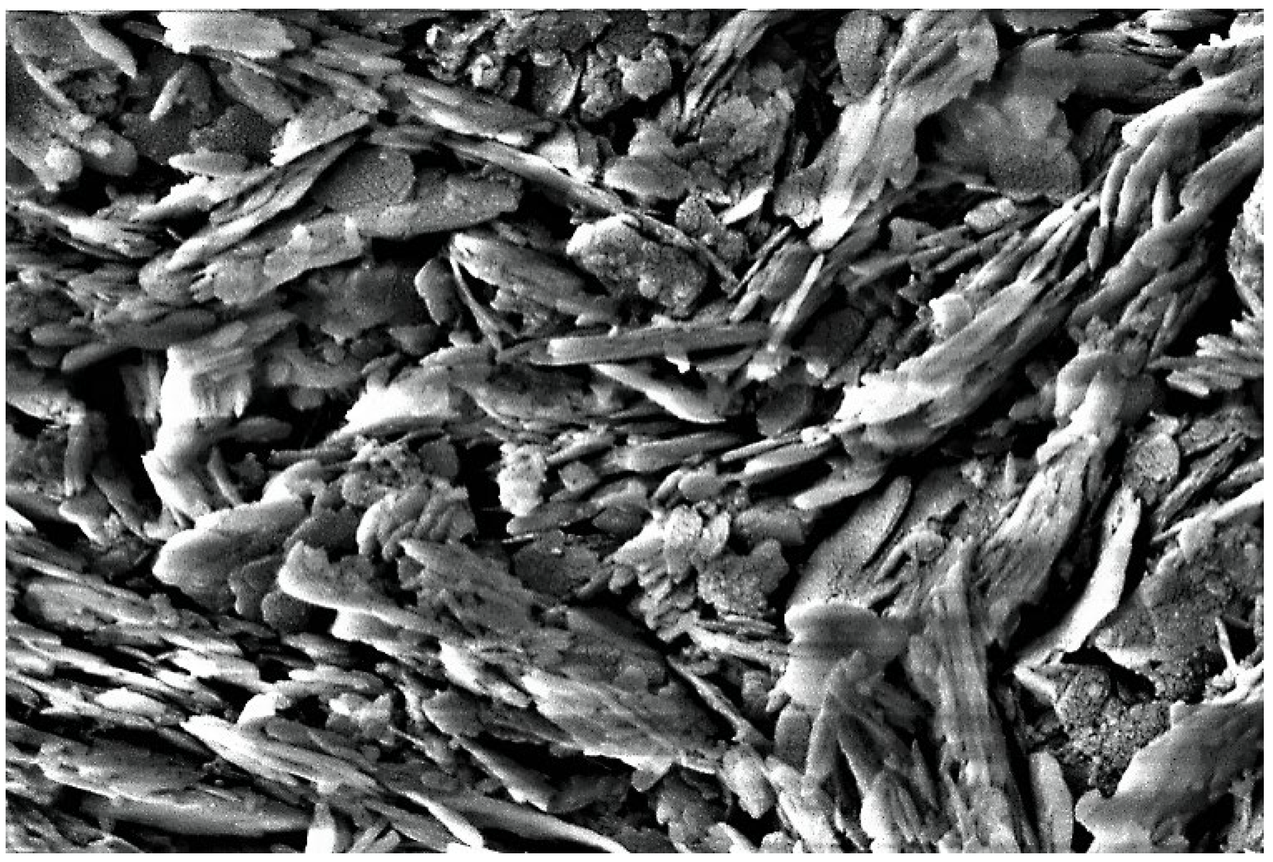 Sustainability 15 07833 g018