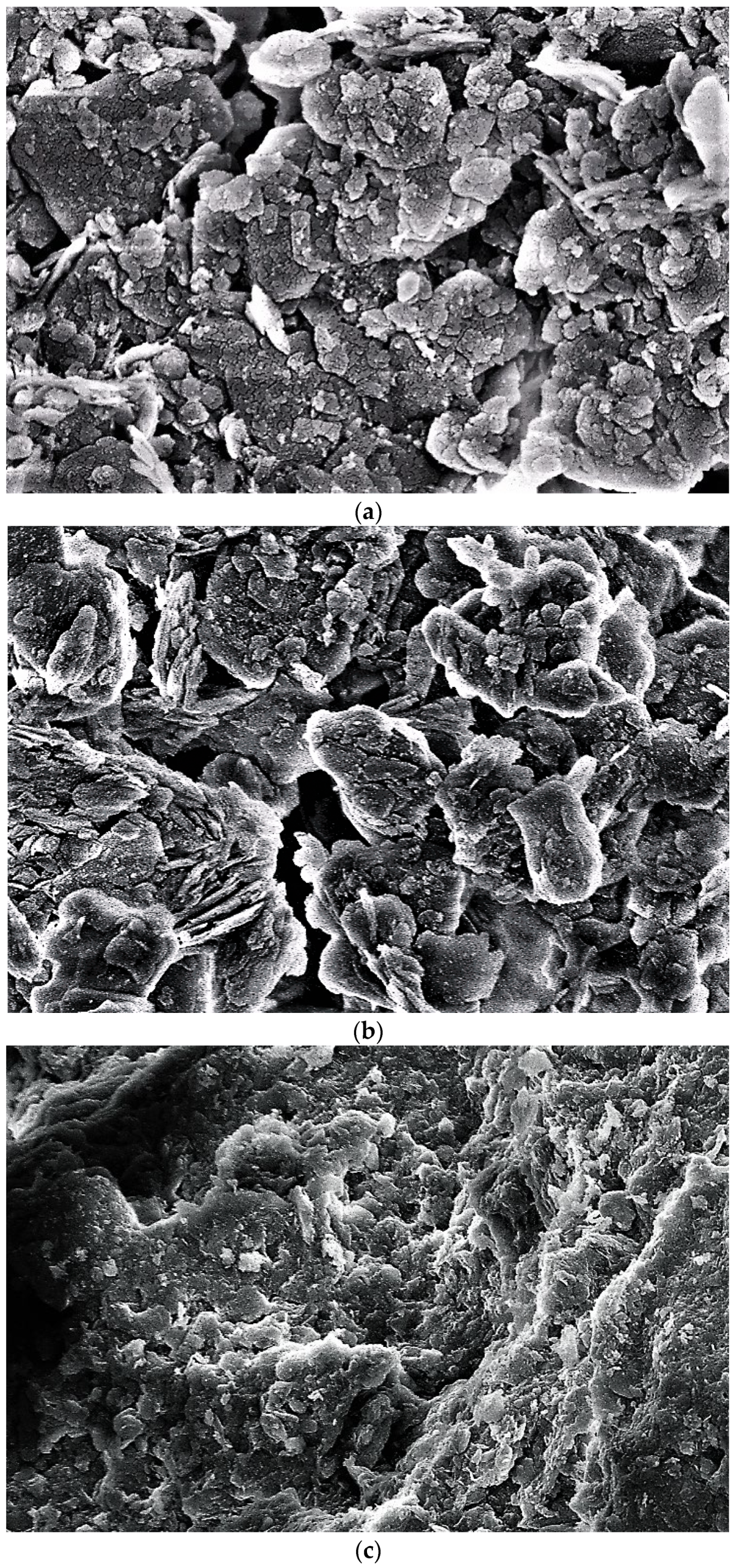 Sustainability 15 07833 g020