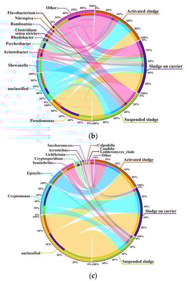 Sustainability 15 07922 g009b