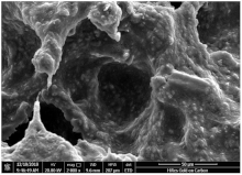 Sustainability 15 07922 i003