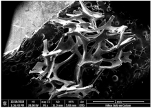 Sustainability 15 07922 i004