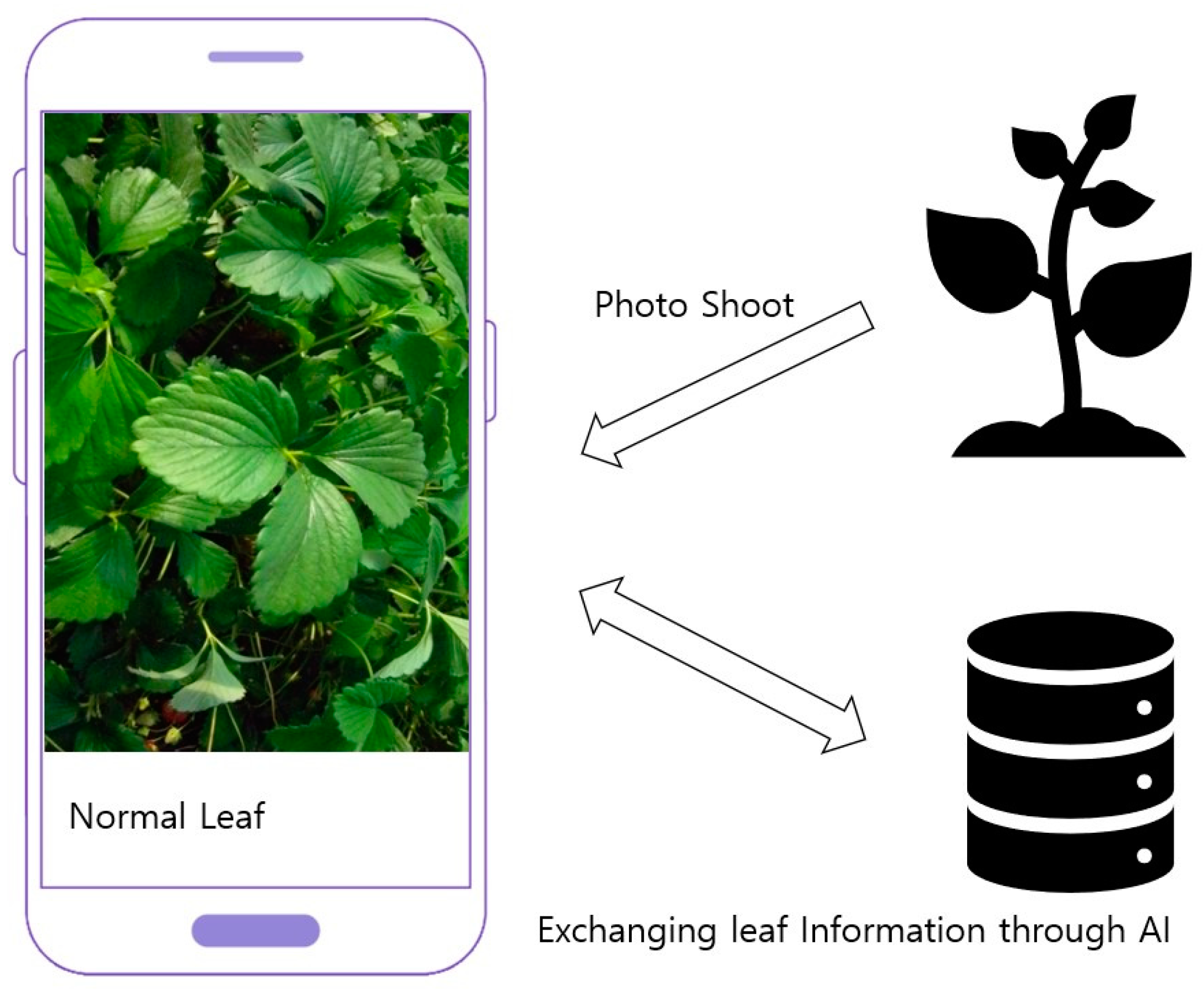 Sustainability 15 07931 g009