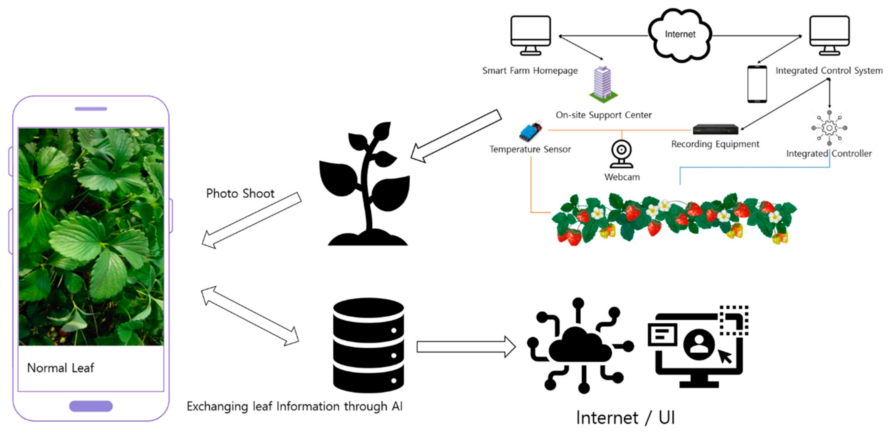 Sustainability 15 07931 g010