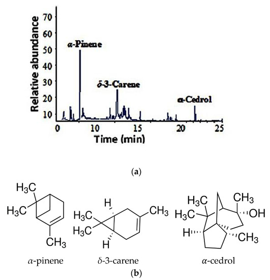 Sustainability 15 08021 g001