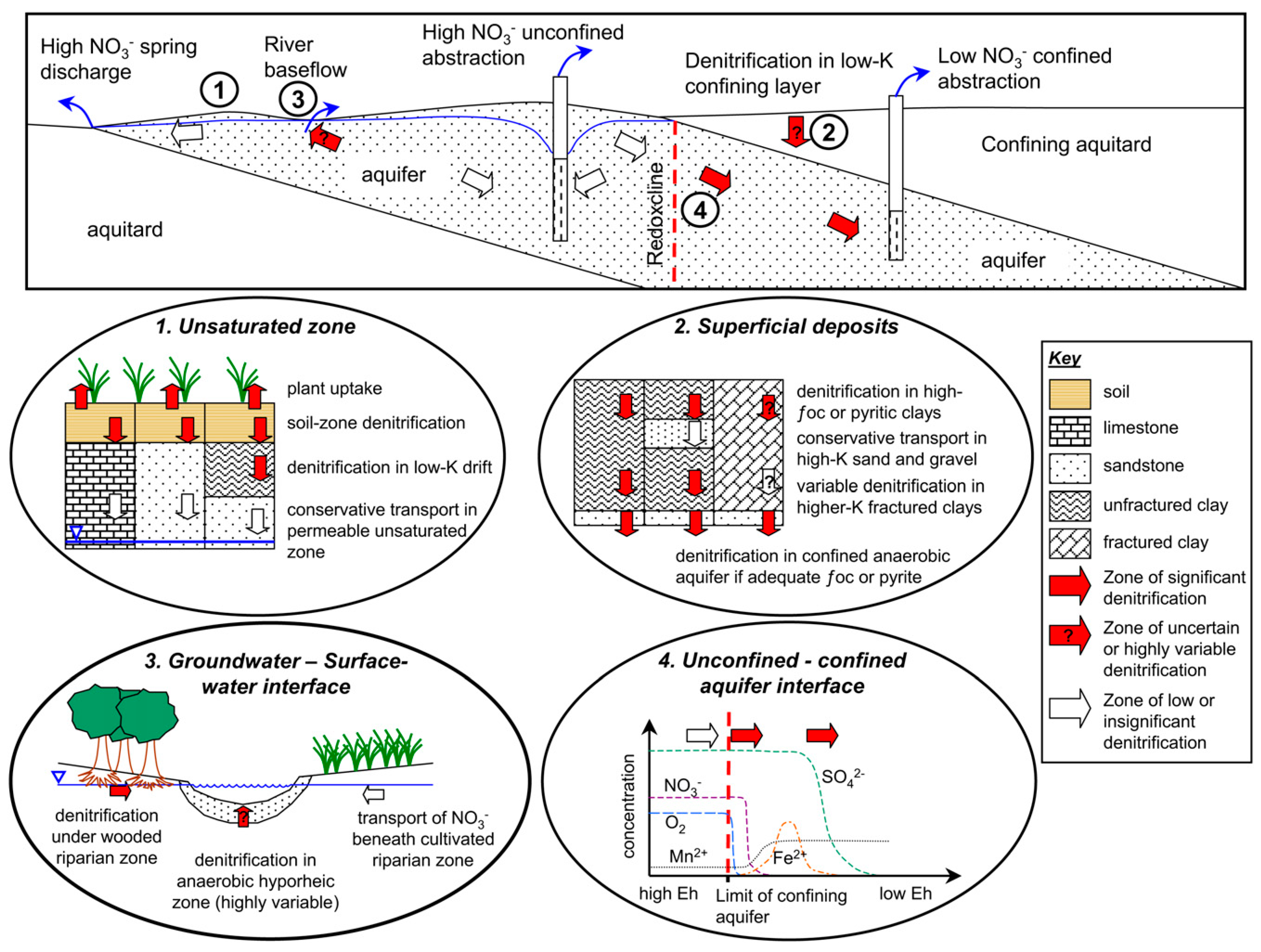 Sustainability 15 08188 g002