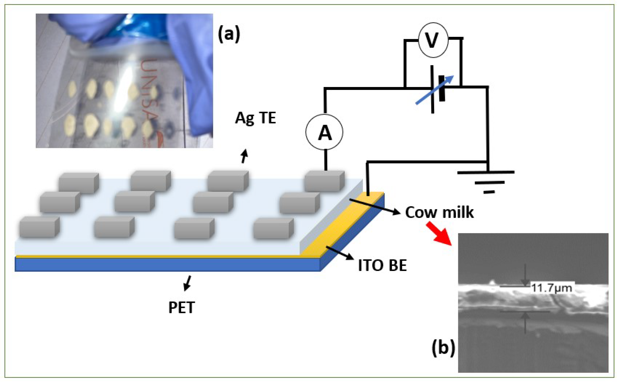 Sustainability 15 08250 g001