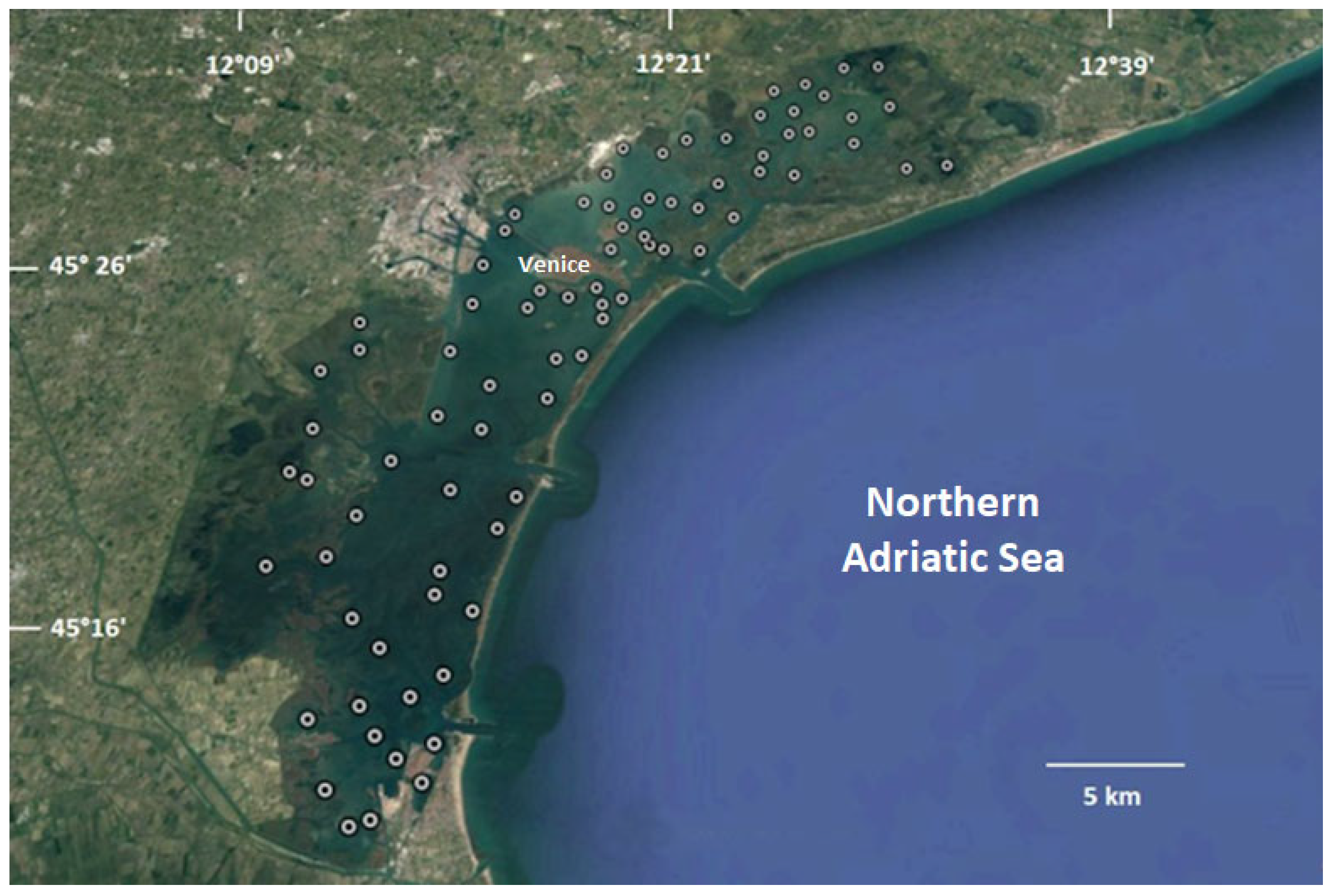 Sustainability 15 08256 g001